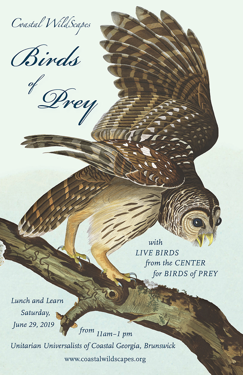 11x17 Poster for Coastal WildScapes 2019 Birds of Prey event.