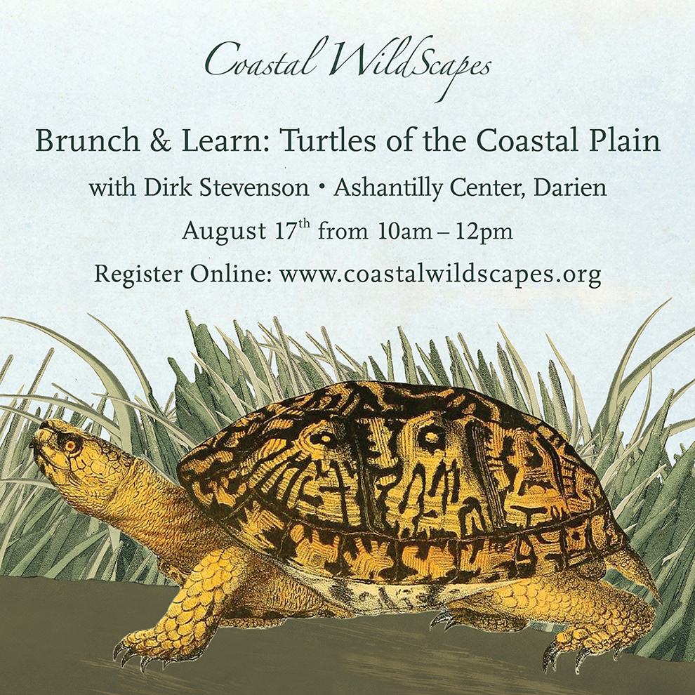 Social media ad for brunch and learn.