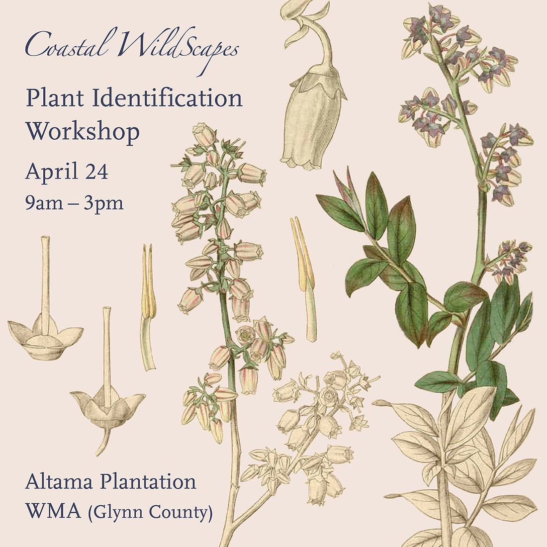 Social media ad for Coastal WildScapes' workshop.