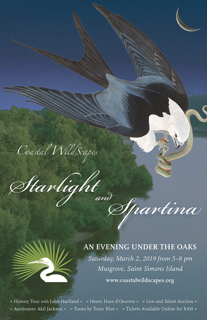 11x17 Poster for Coastal WildScapes 2019 Starlight and Spartina event.