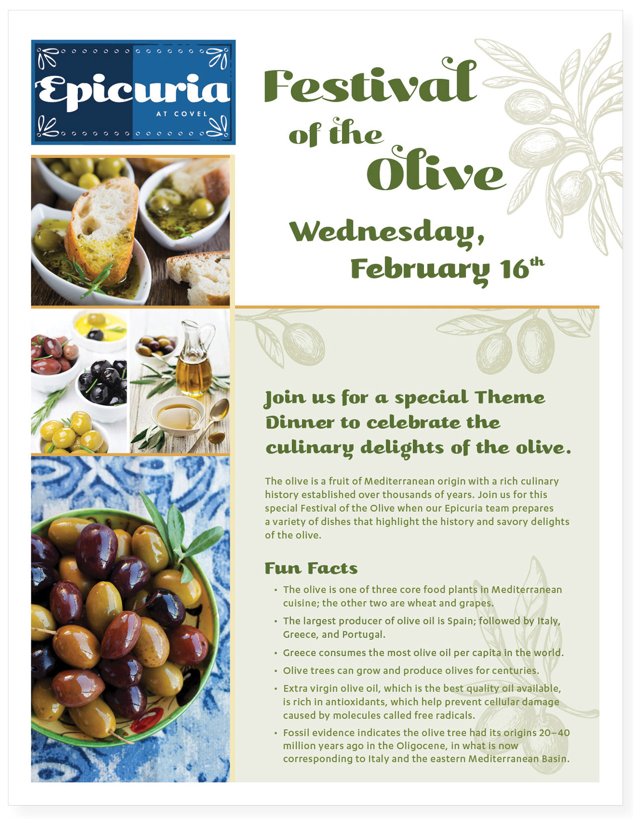 Information sheet with fun olive facts - tasty!