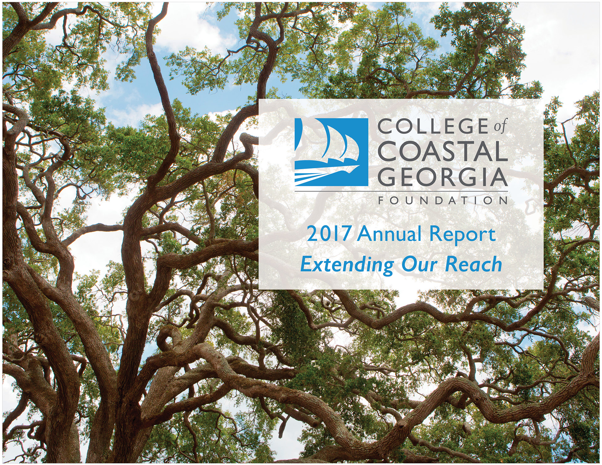Cover design for annual report.