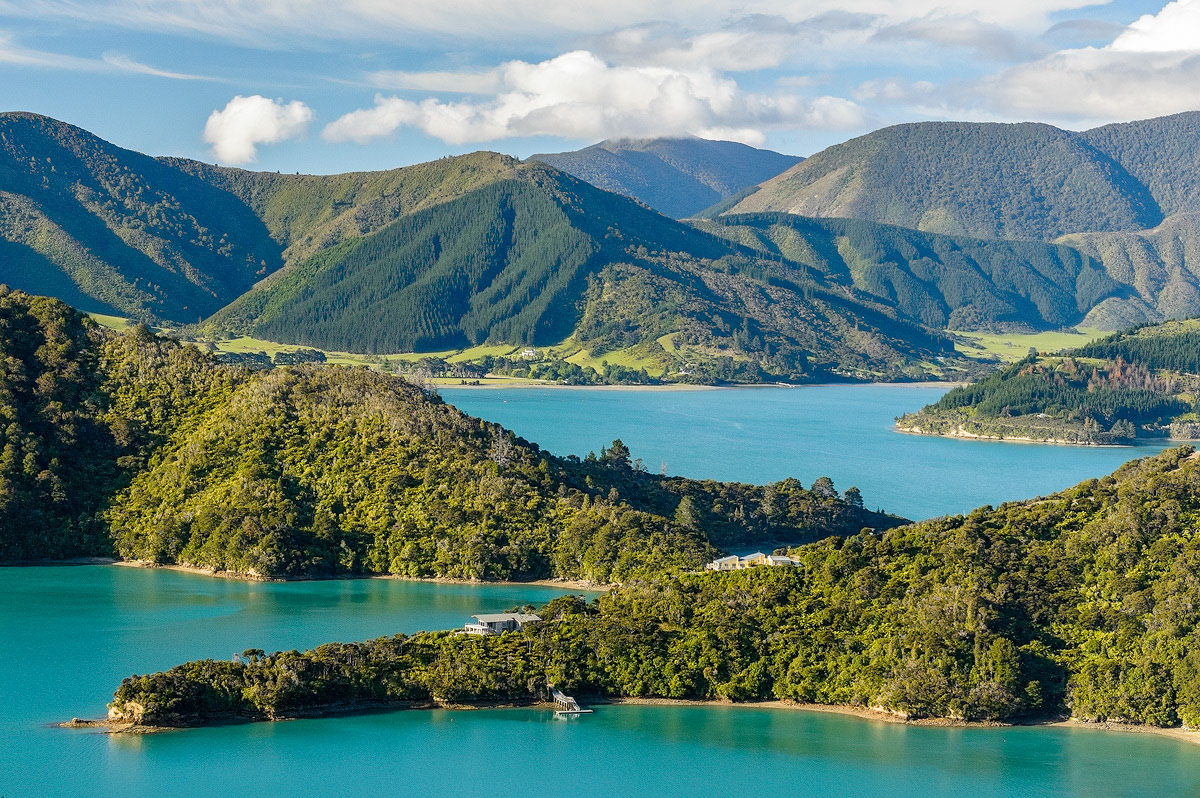 Uitzicht langs de Queen Charlotte track in Marlborough Sounds