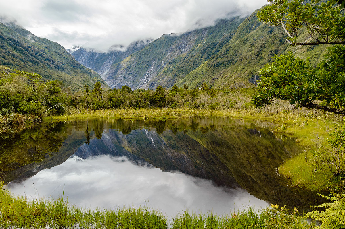 Reflectie aan een meertje op weg naar Franz Josef Glacier