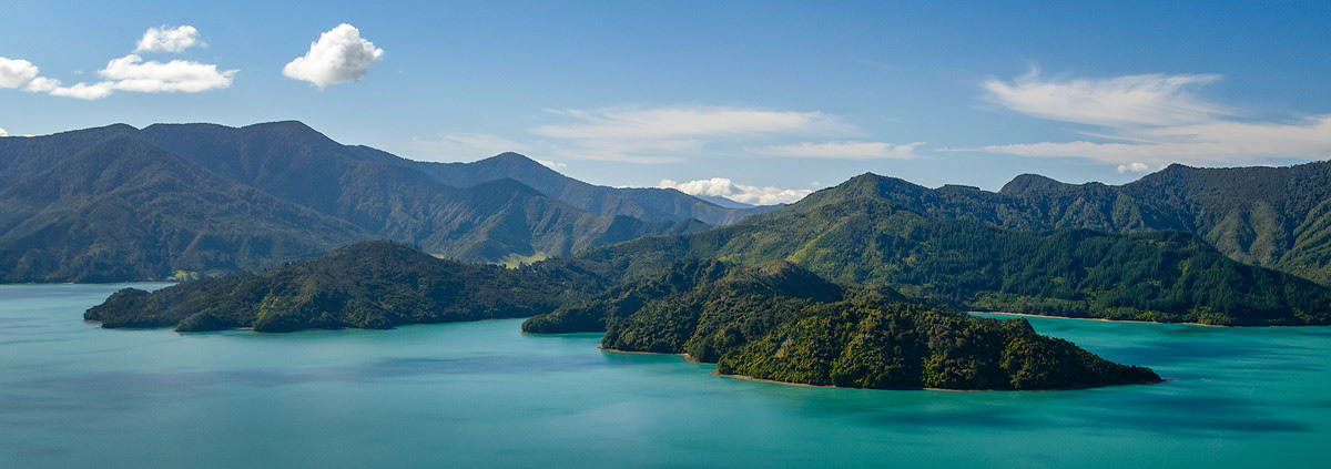 Uitzicht langs de Queen Charlotte track in Marlborough Sounds