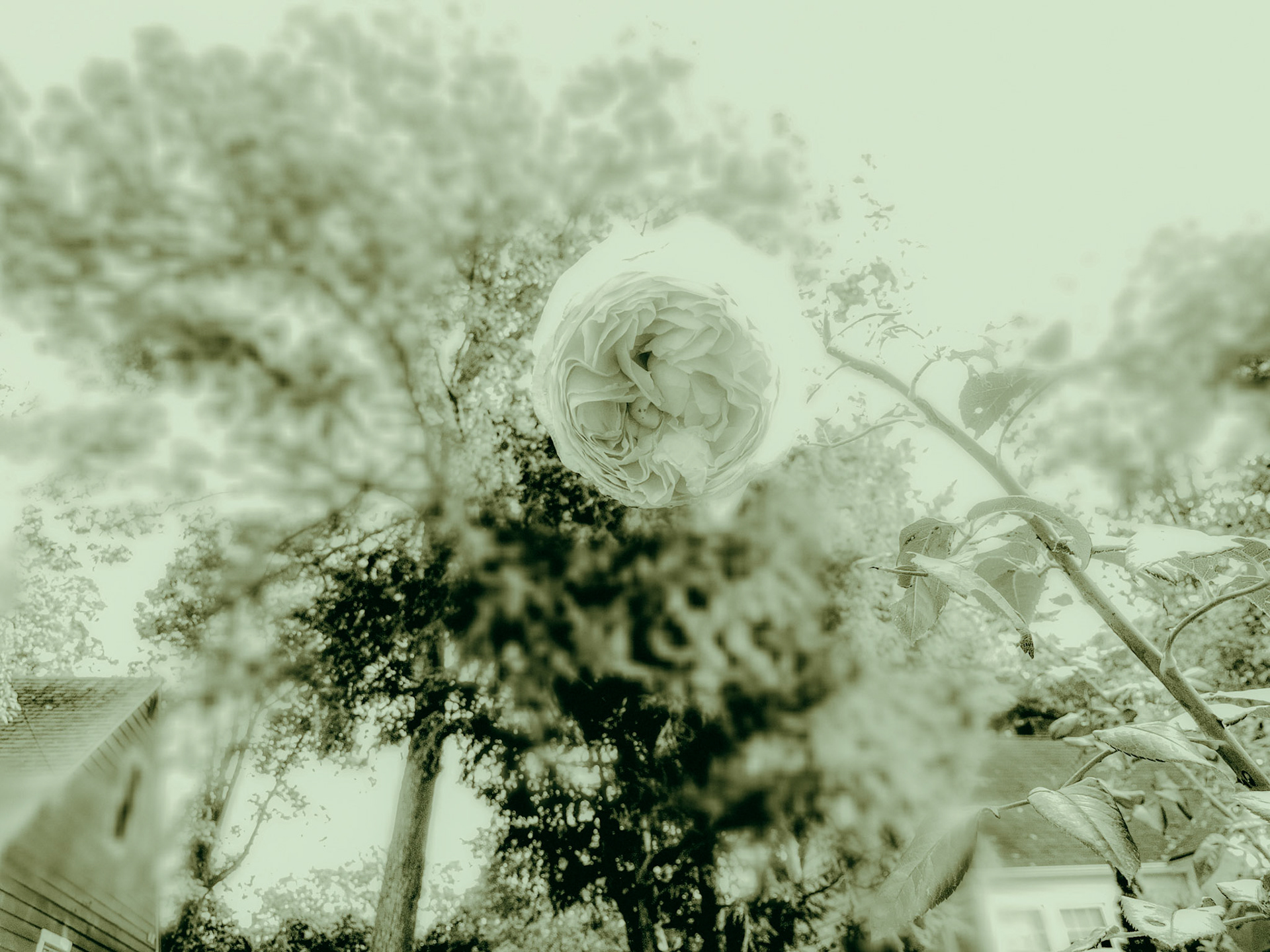 All Things Serve the Beam!