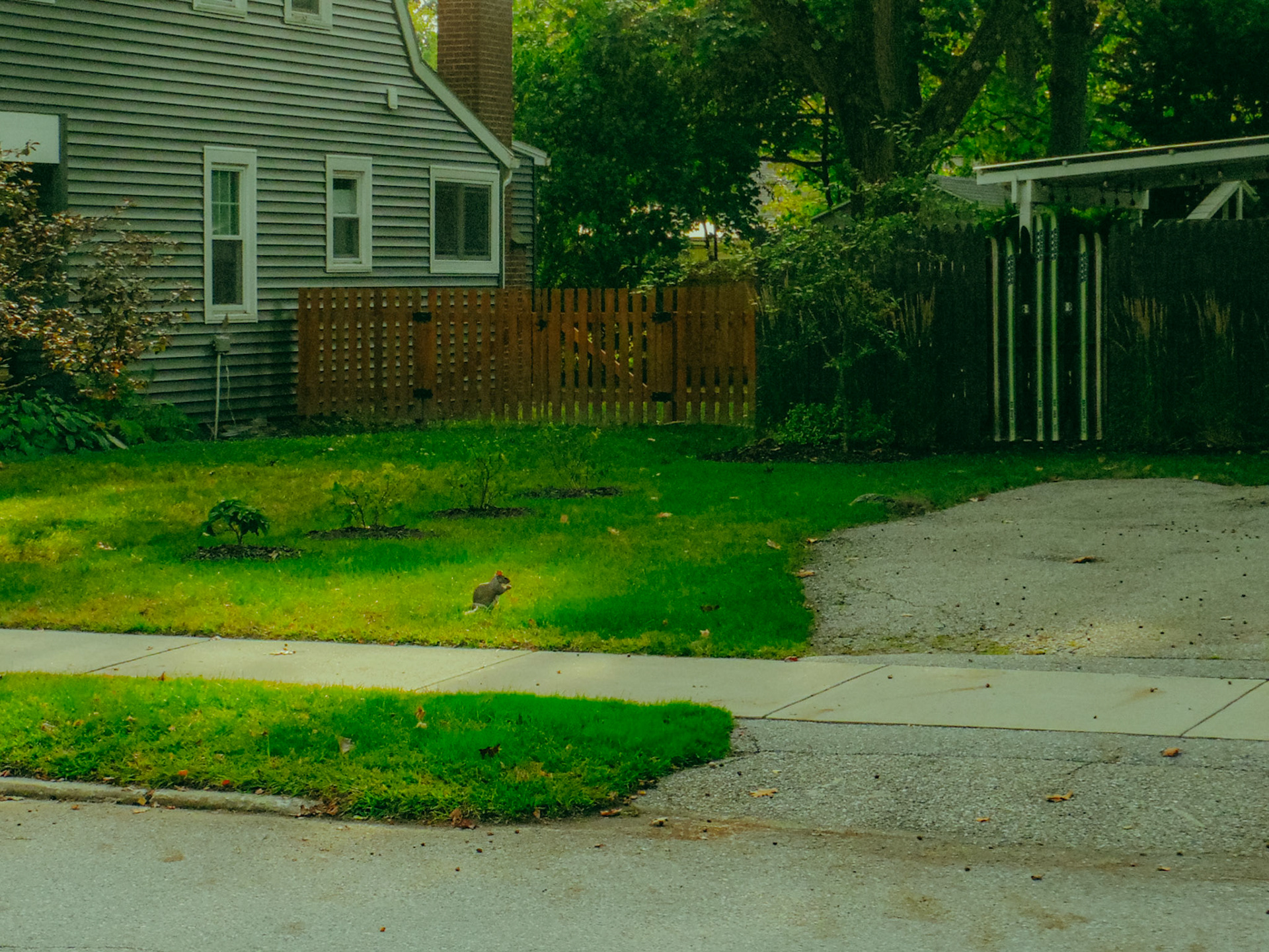 And please bless my mother, and my father, and my sister....