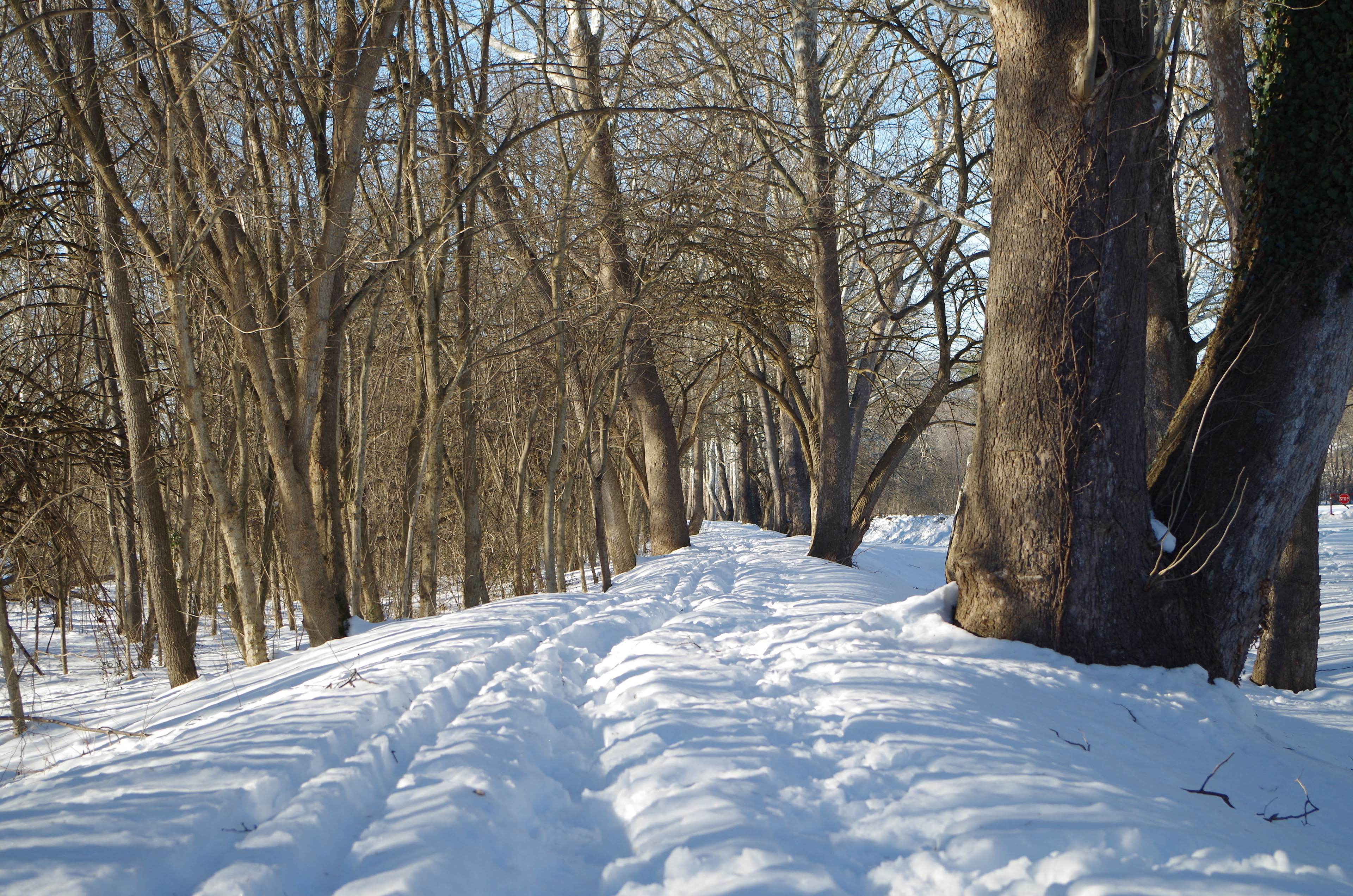  Antietam National Battlefield near Sharpsburg, Maryland