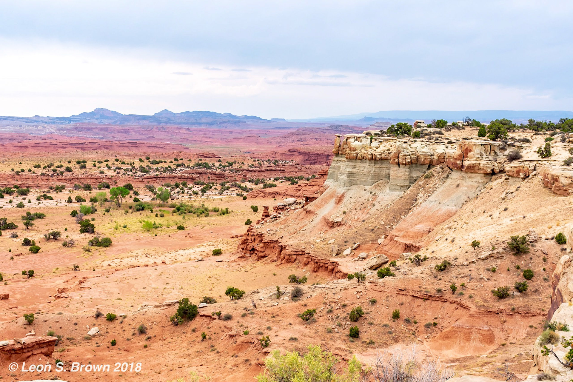 Salt Wash Canyon