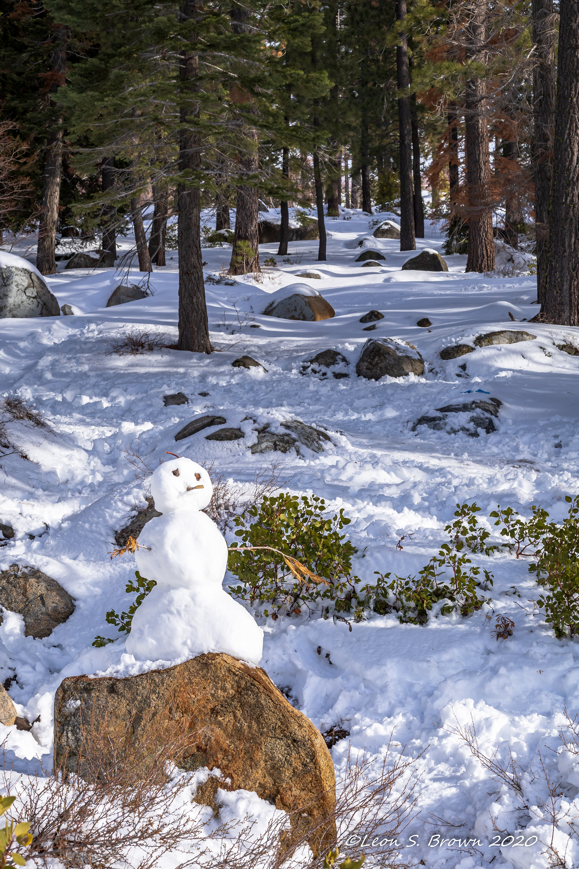 Snowman on Donner Summit