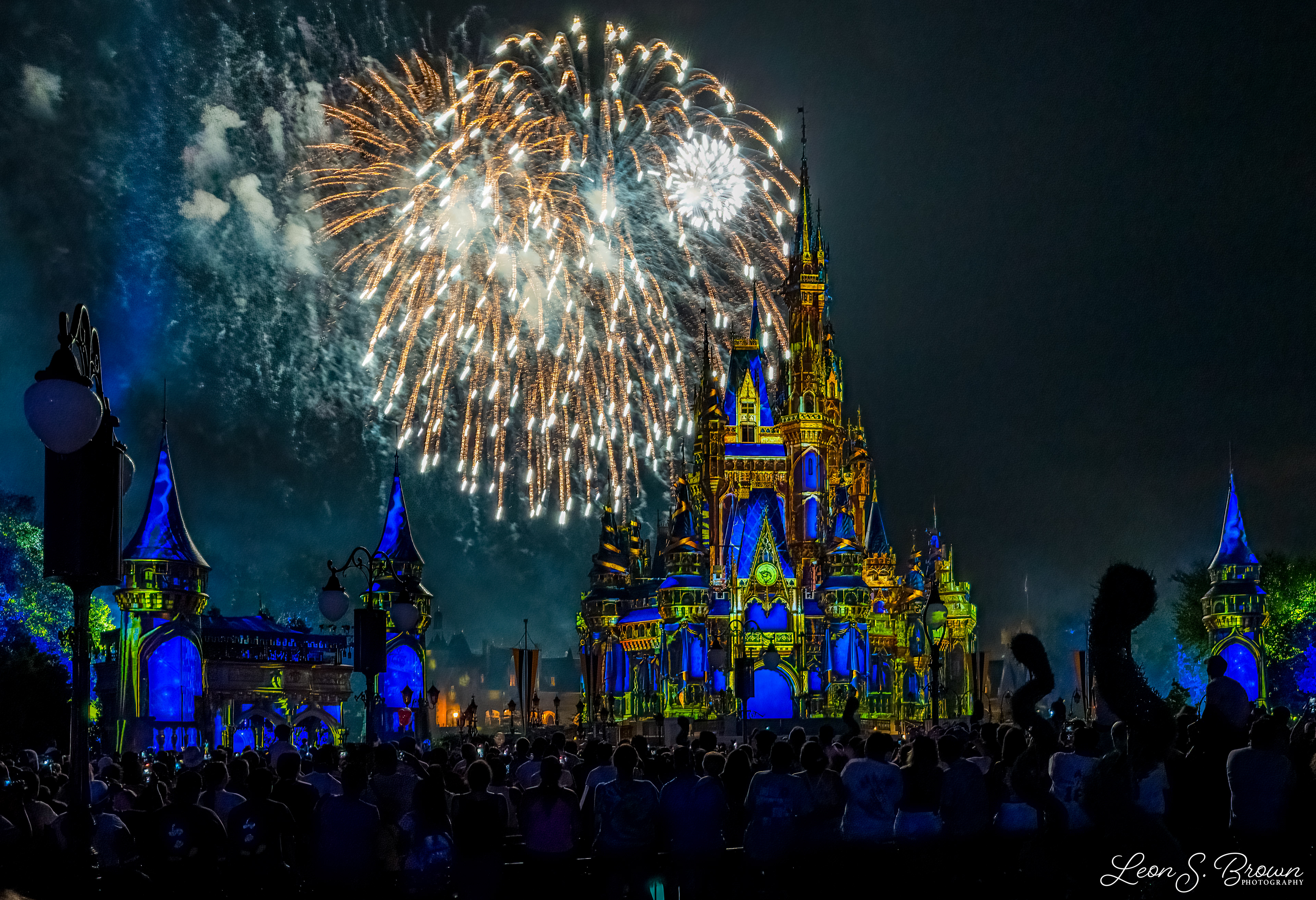 Happily Ever After Fireworks