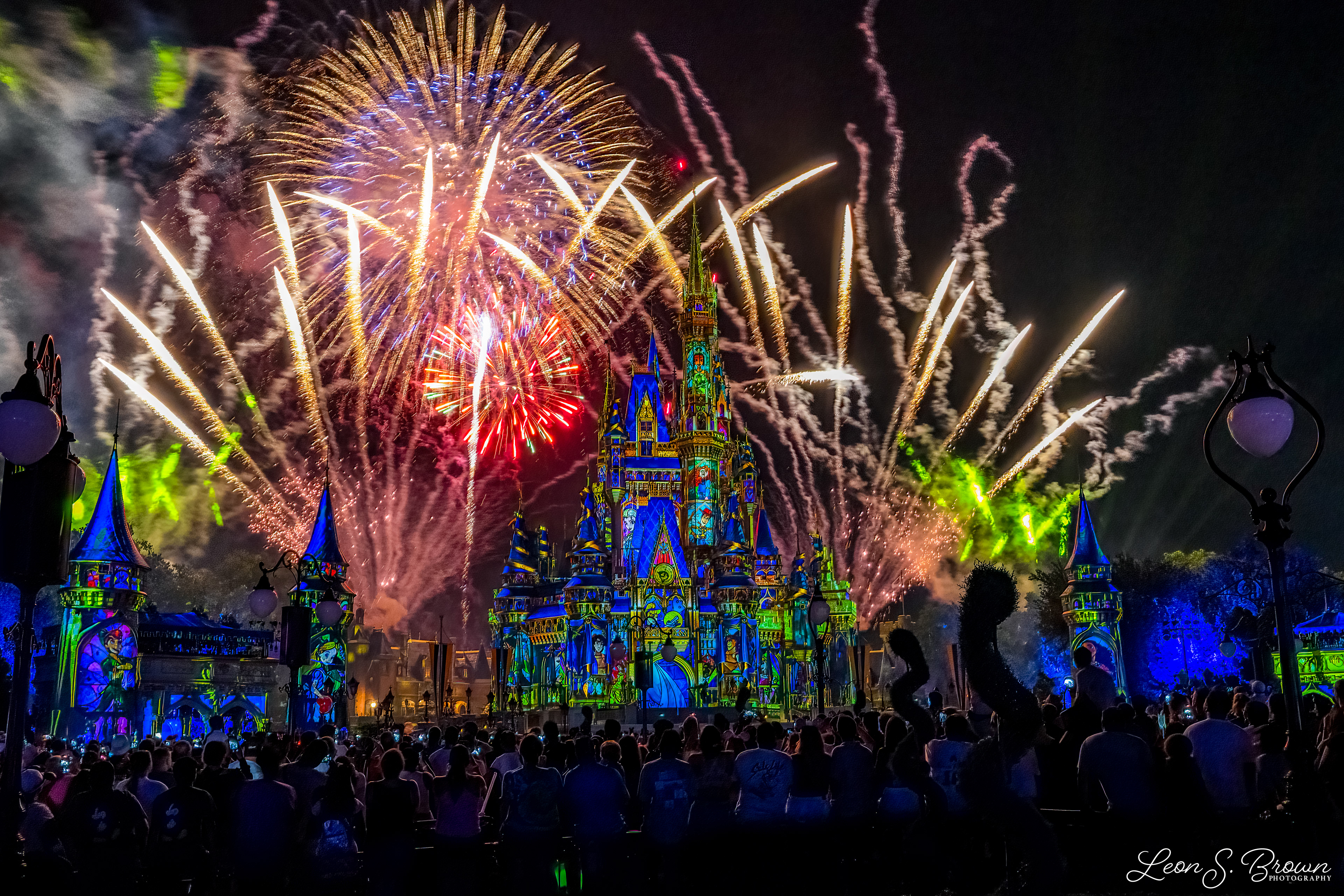 Happily Ever After Fireworks