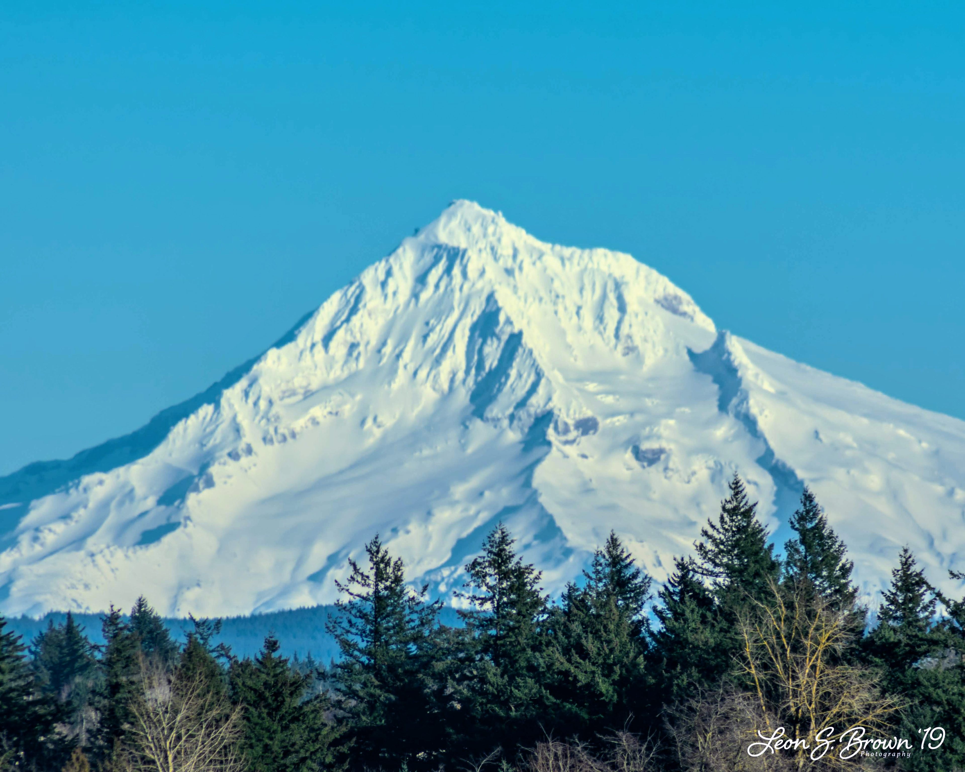 Mt. Hood