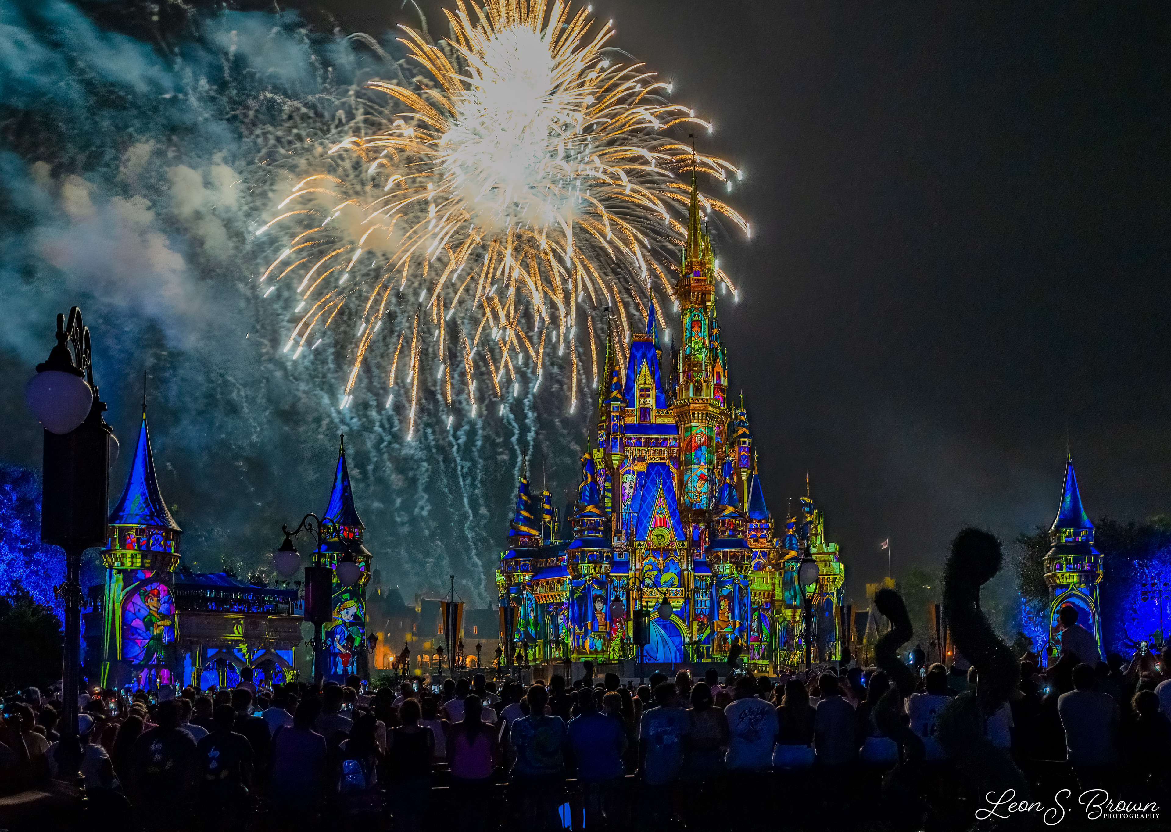 Happily Ever After Fireworks
