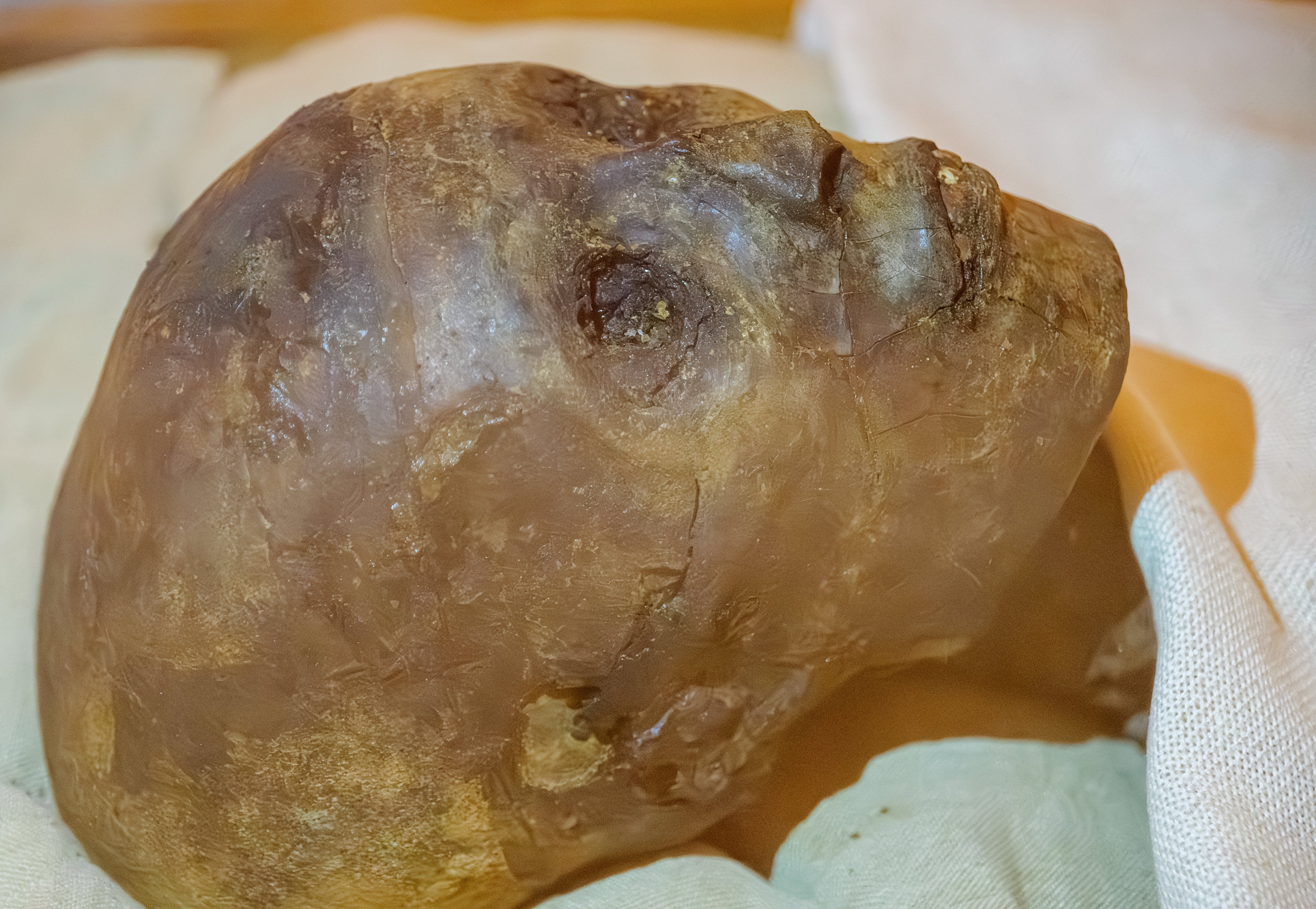 Mummy of Tutankhamun (King Tut) at Valley of the Kings