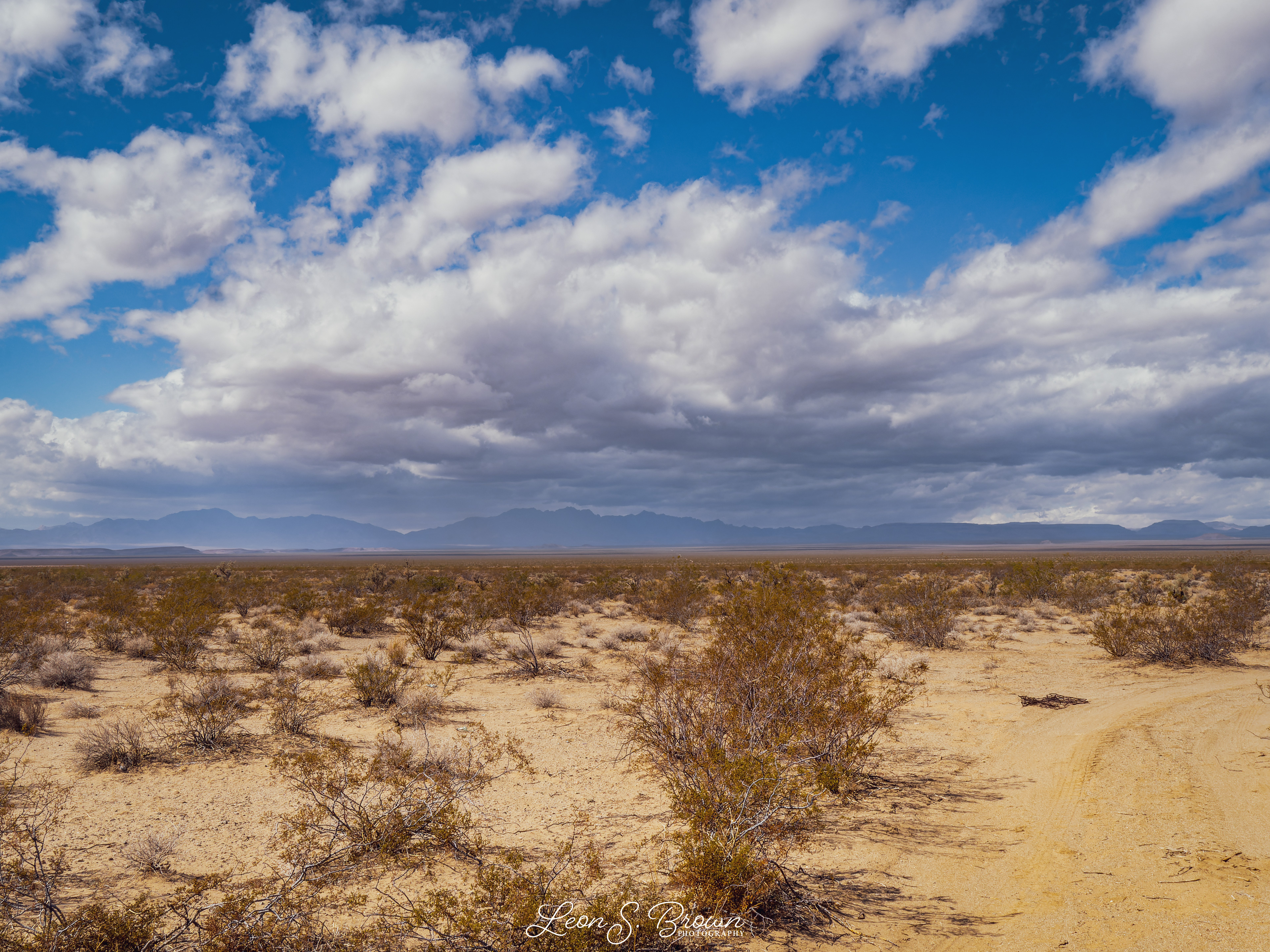 Mojave Desert