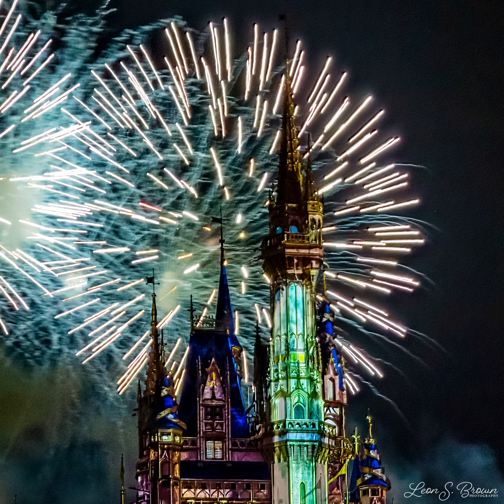 Happily Ever After Fireworks