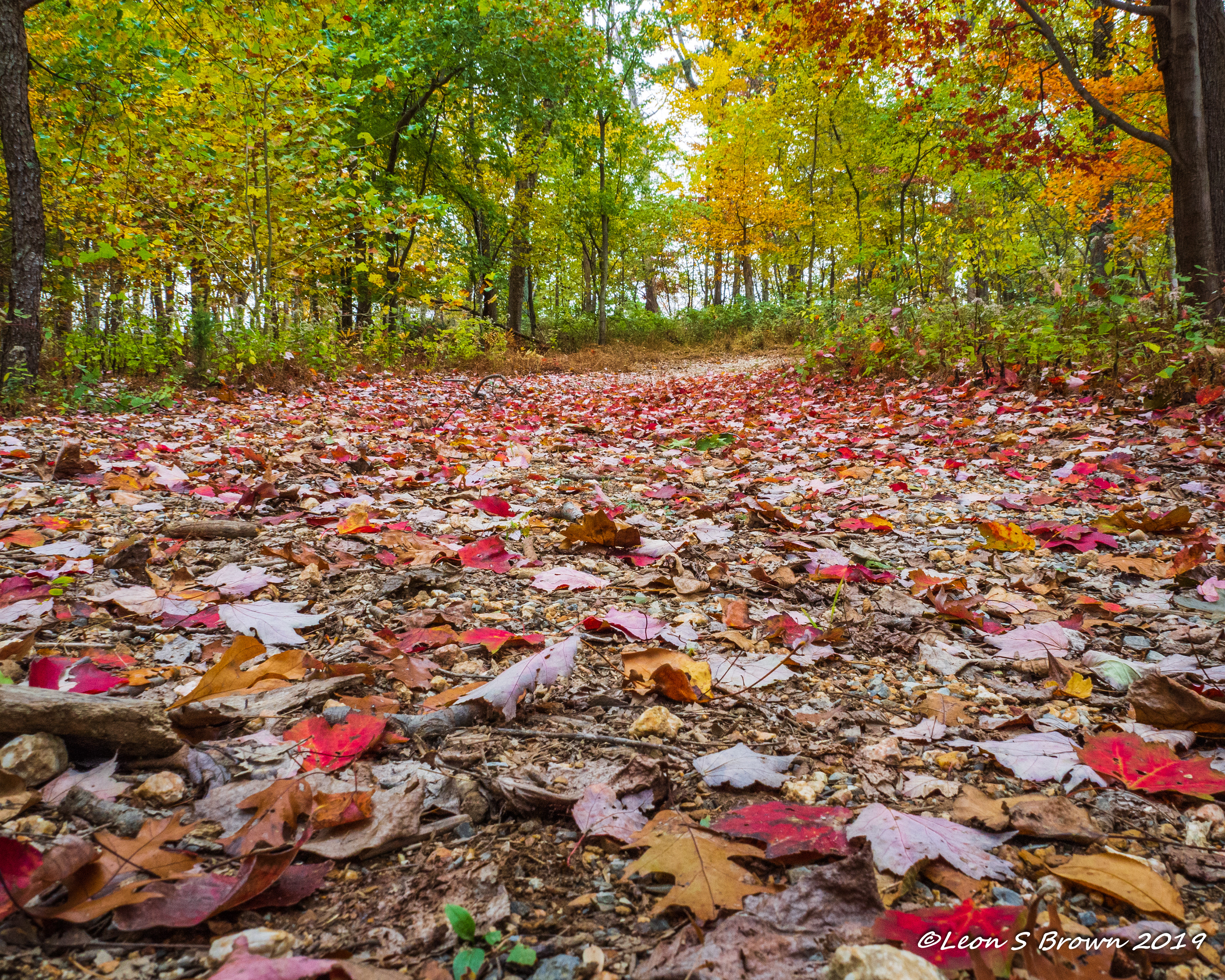 Manidokan Camp Grounds in Knoxville, Maryland