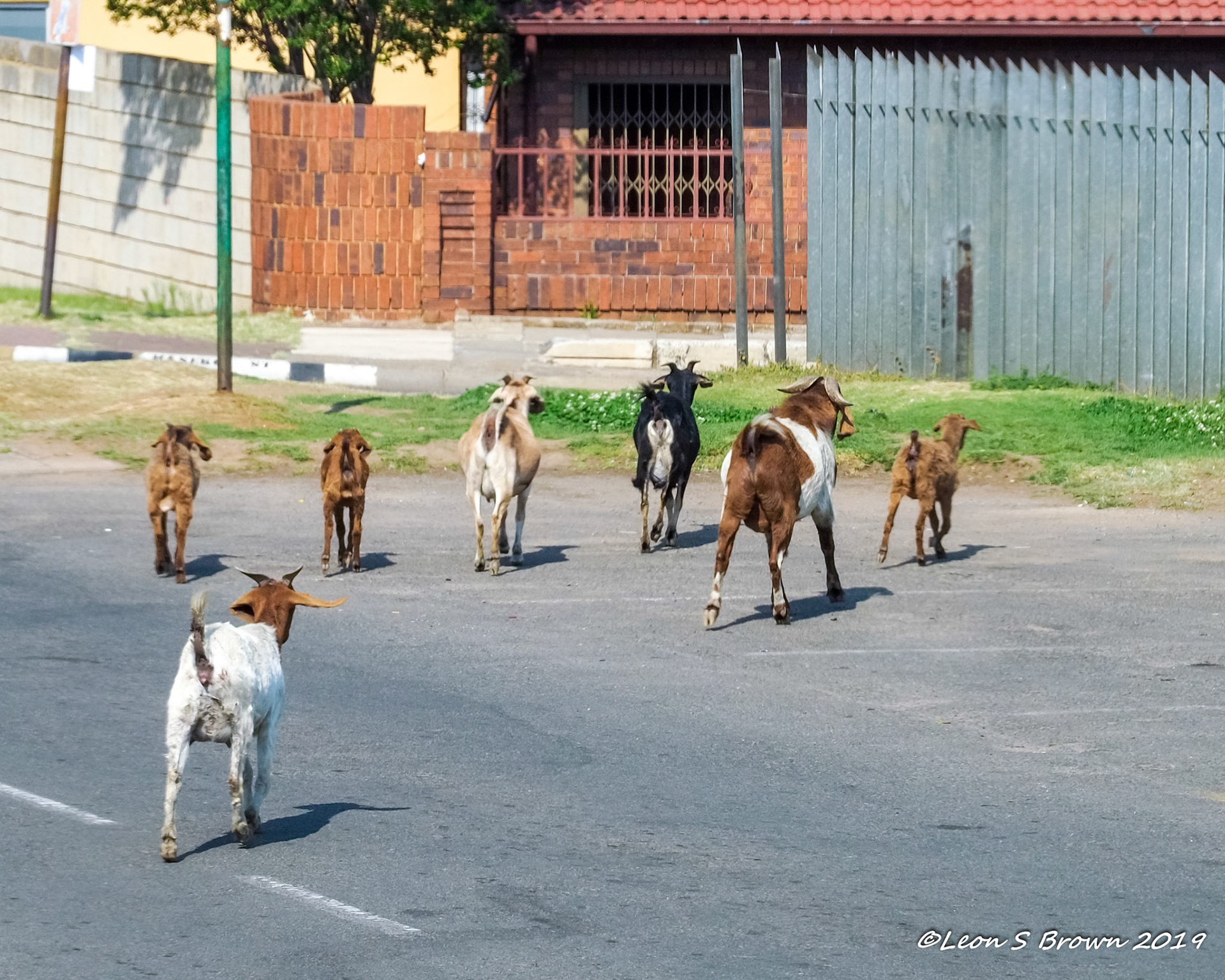 Soweto