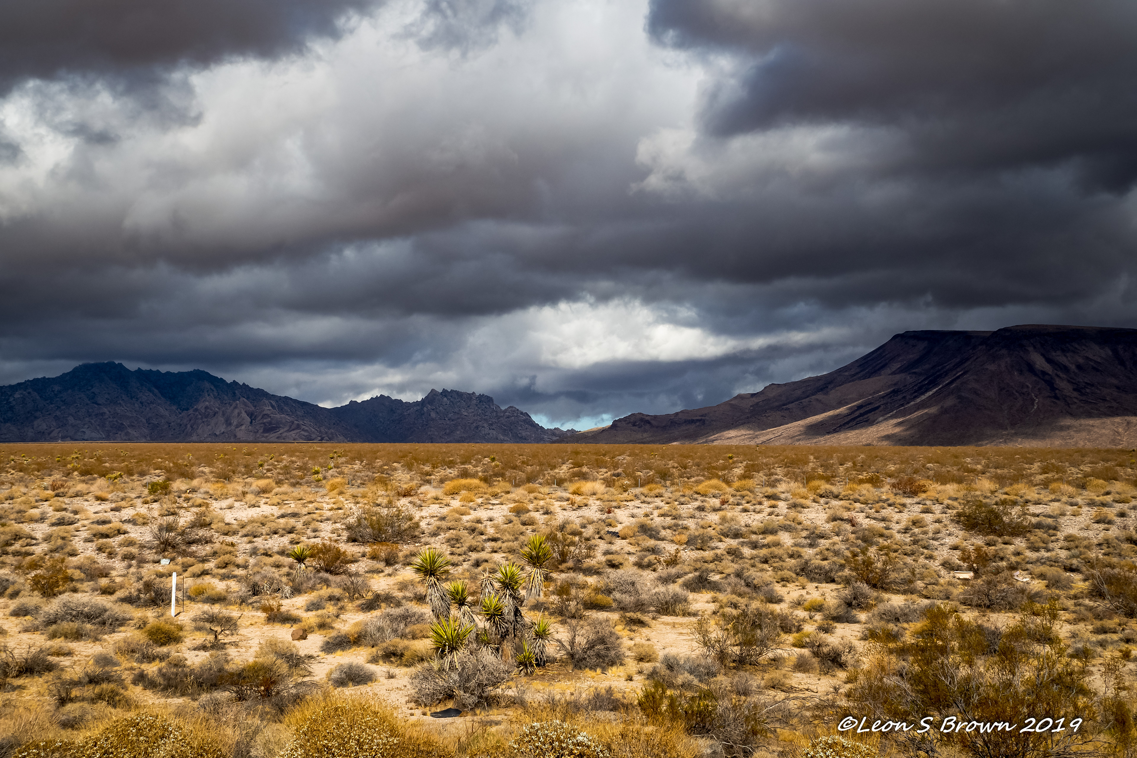 The Mojave Desert