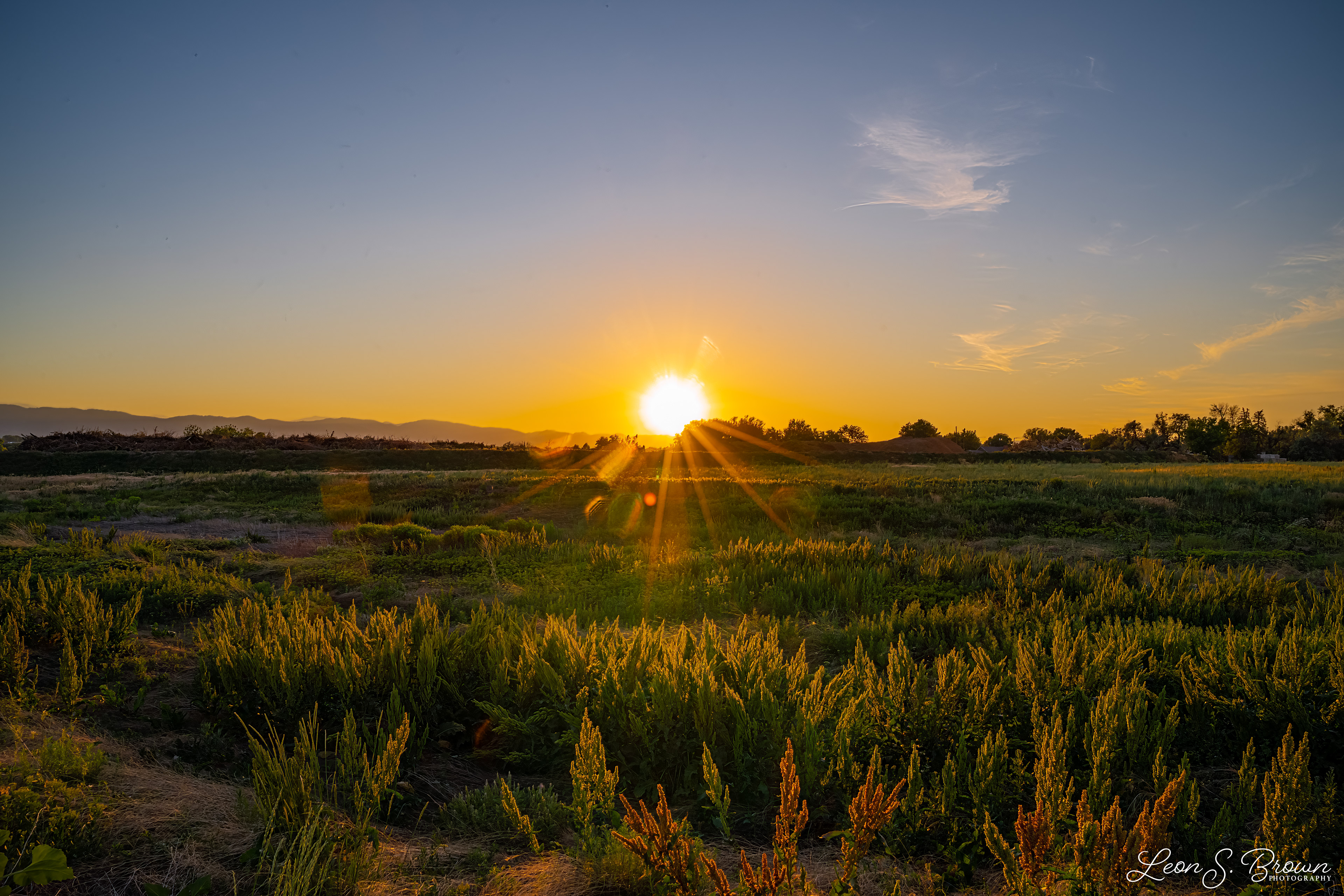 Fort Collins