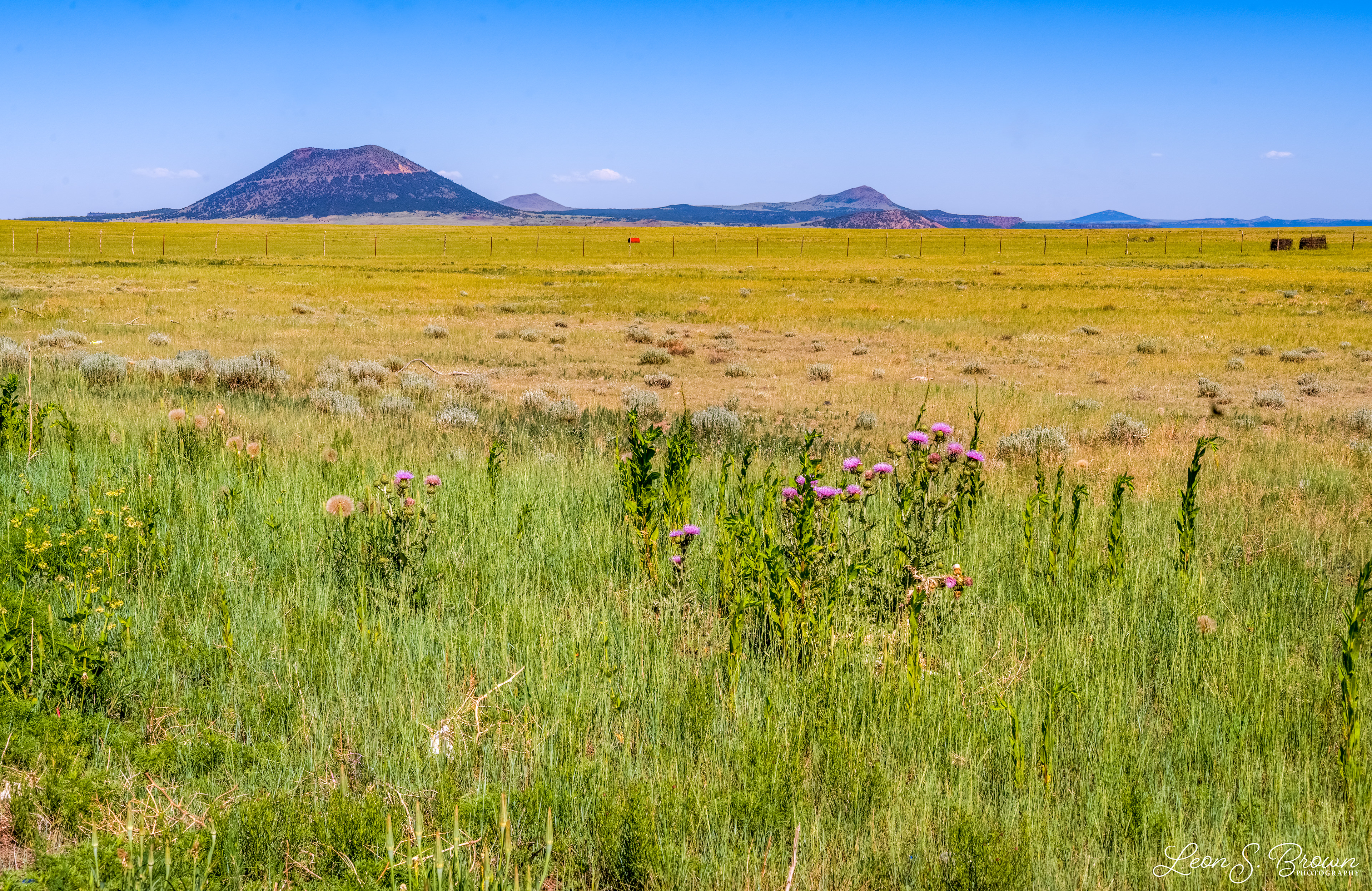 Capulin Volcano