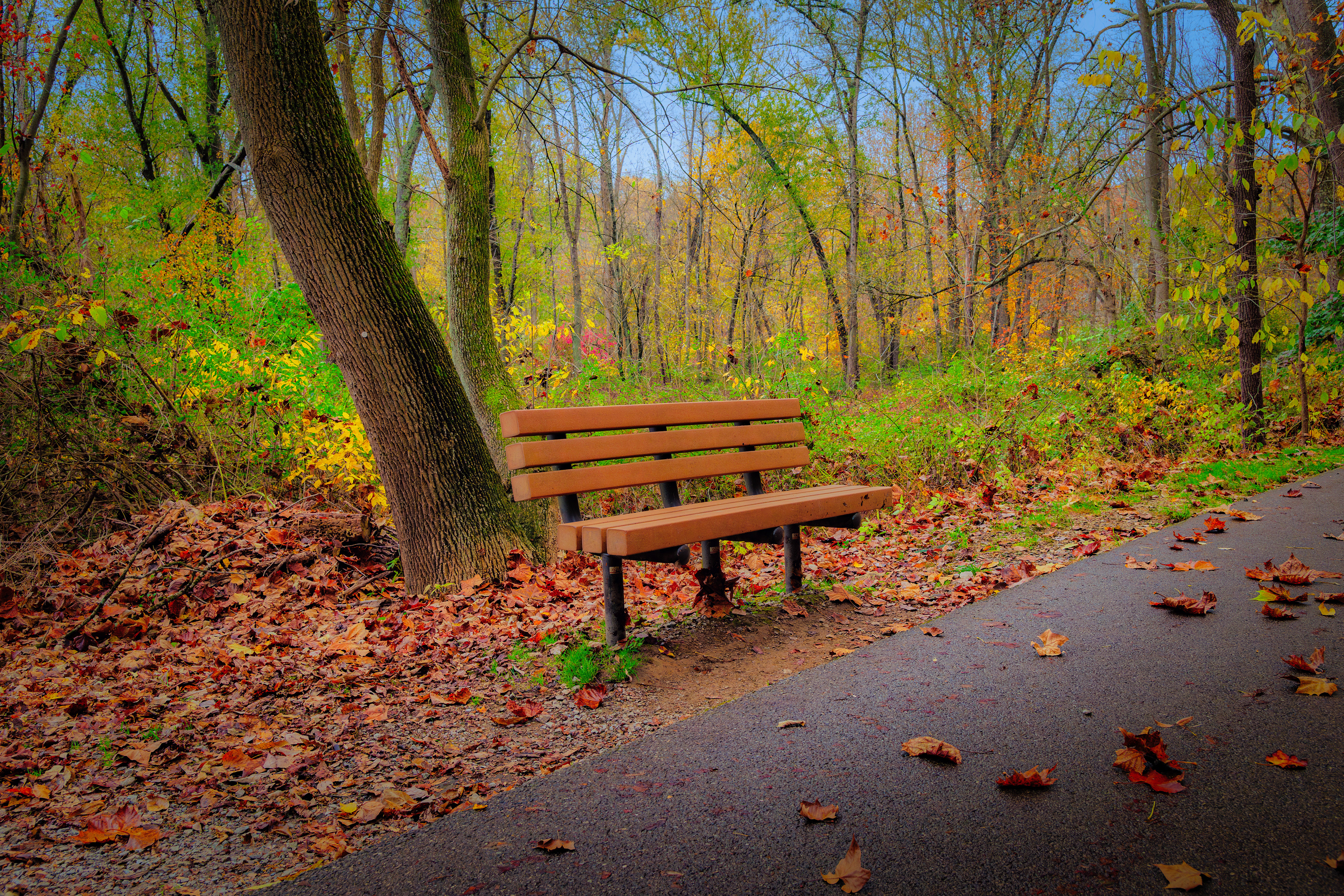 E. Branch Brandywine Trail near Downingtown