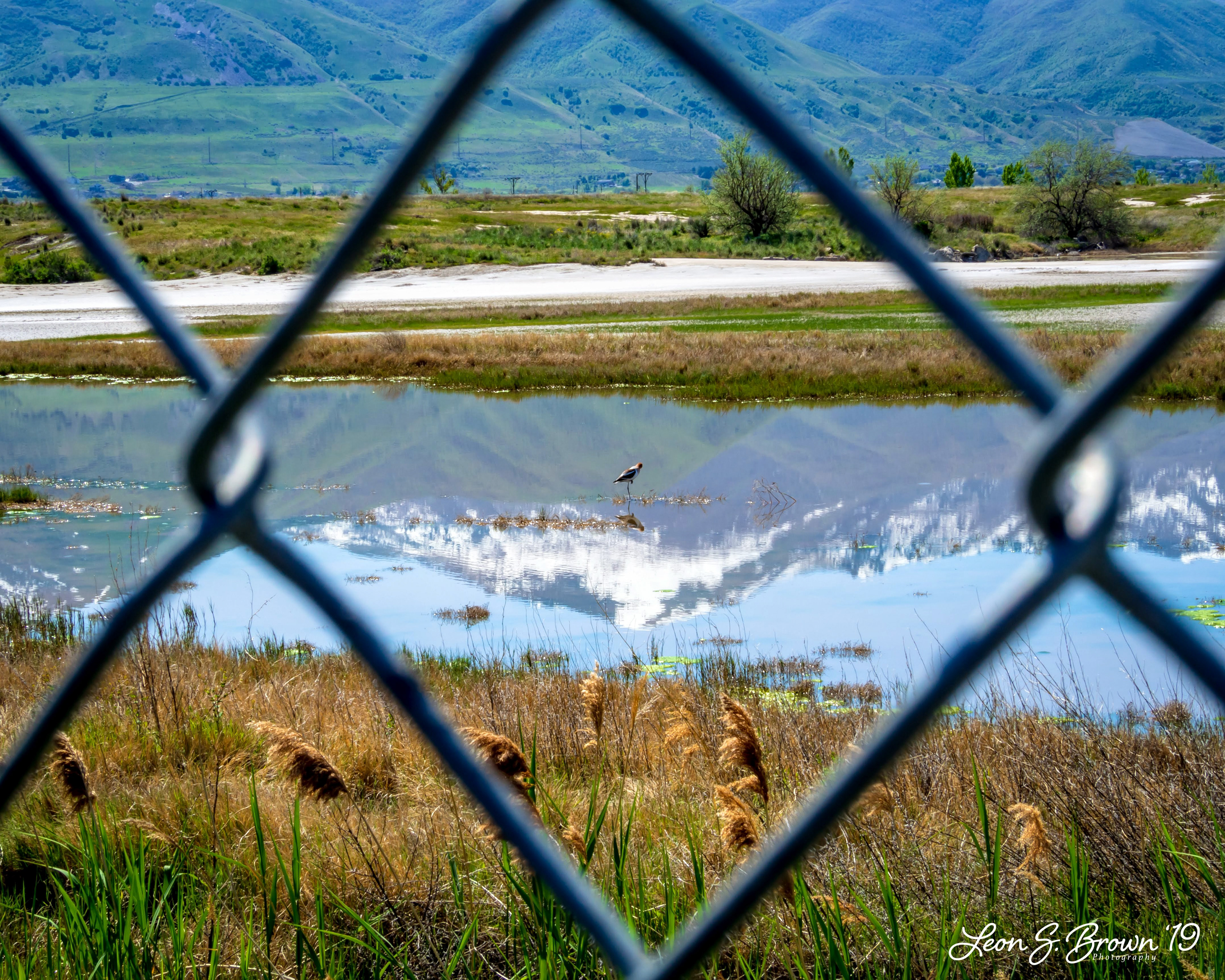 Reflections of The Wellsville Mountains