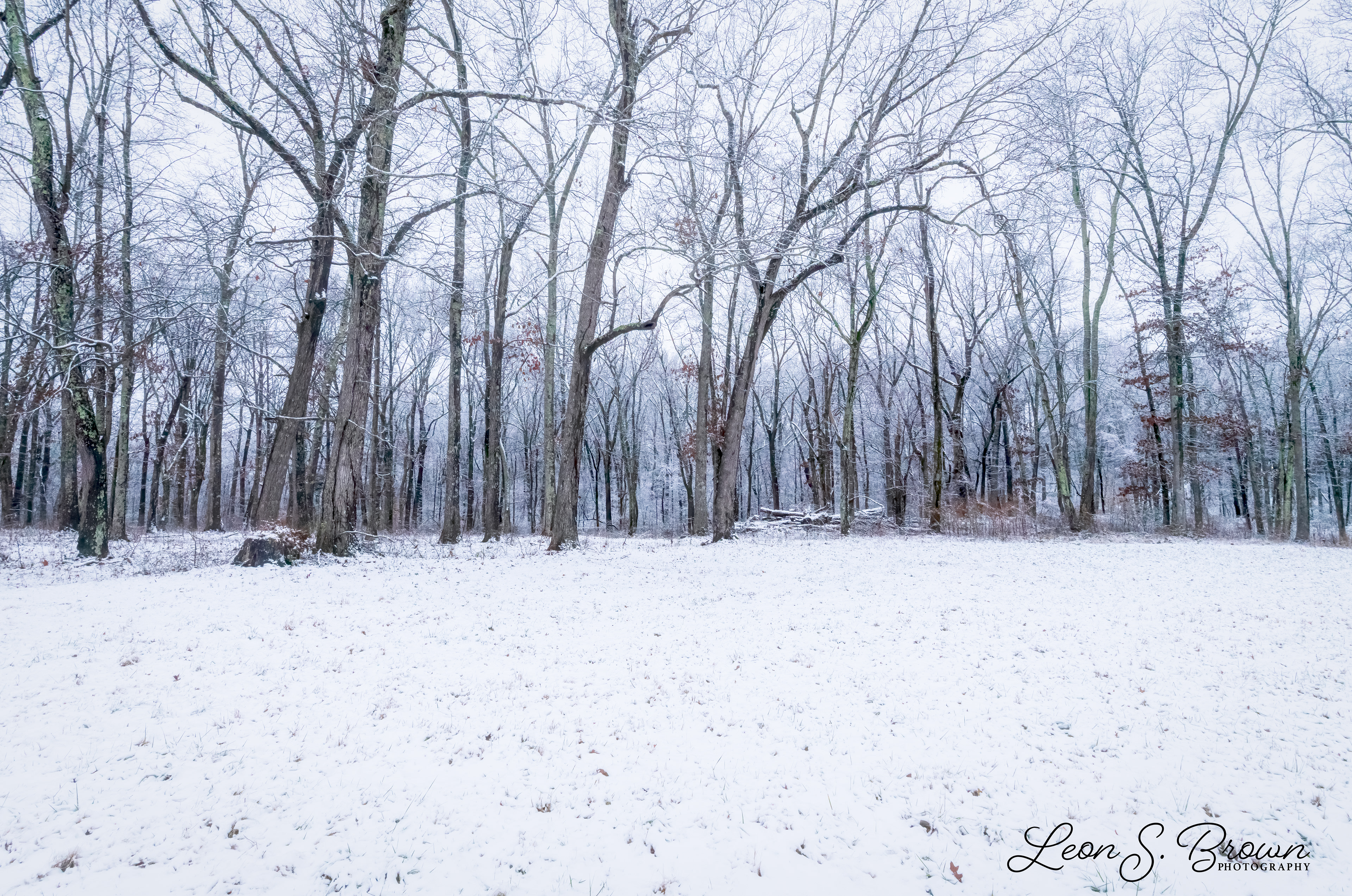 Monteagle, Tennessee 