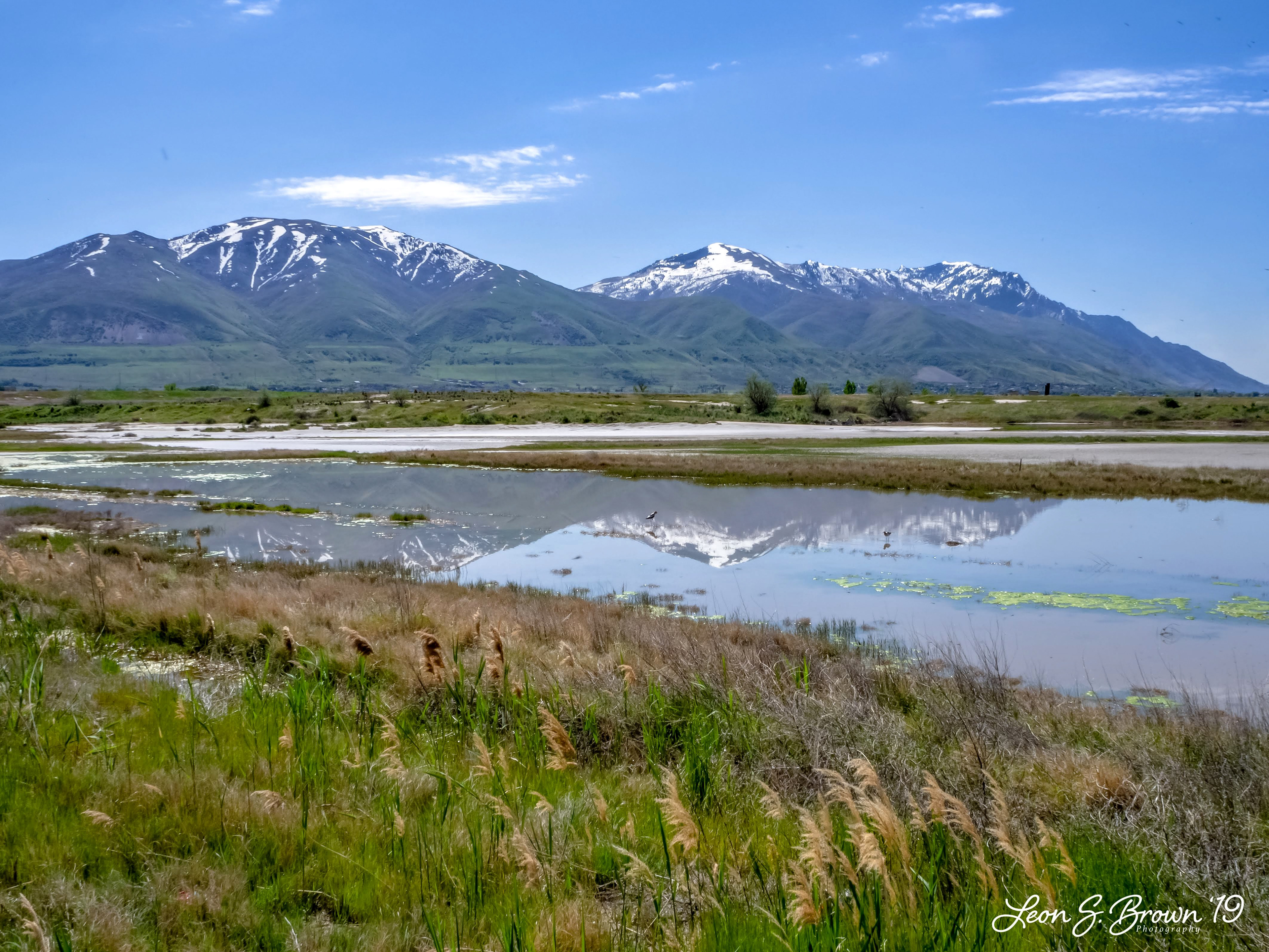 Wellsville Mountains
