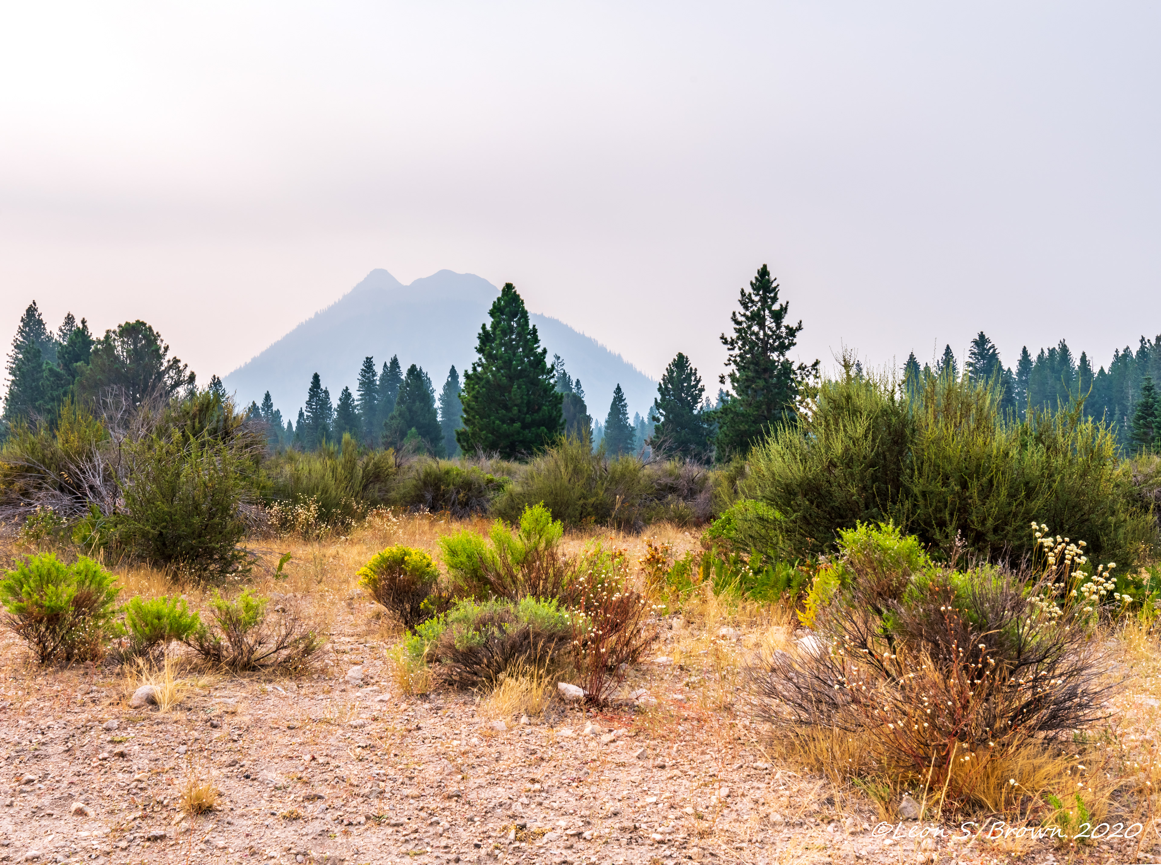 Mt Shasta From Weed California