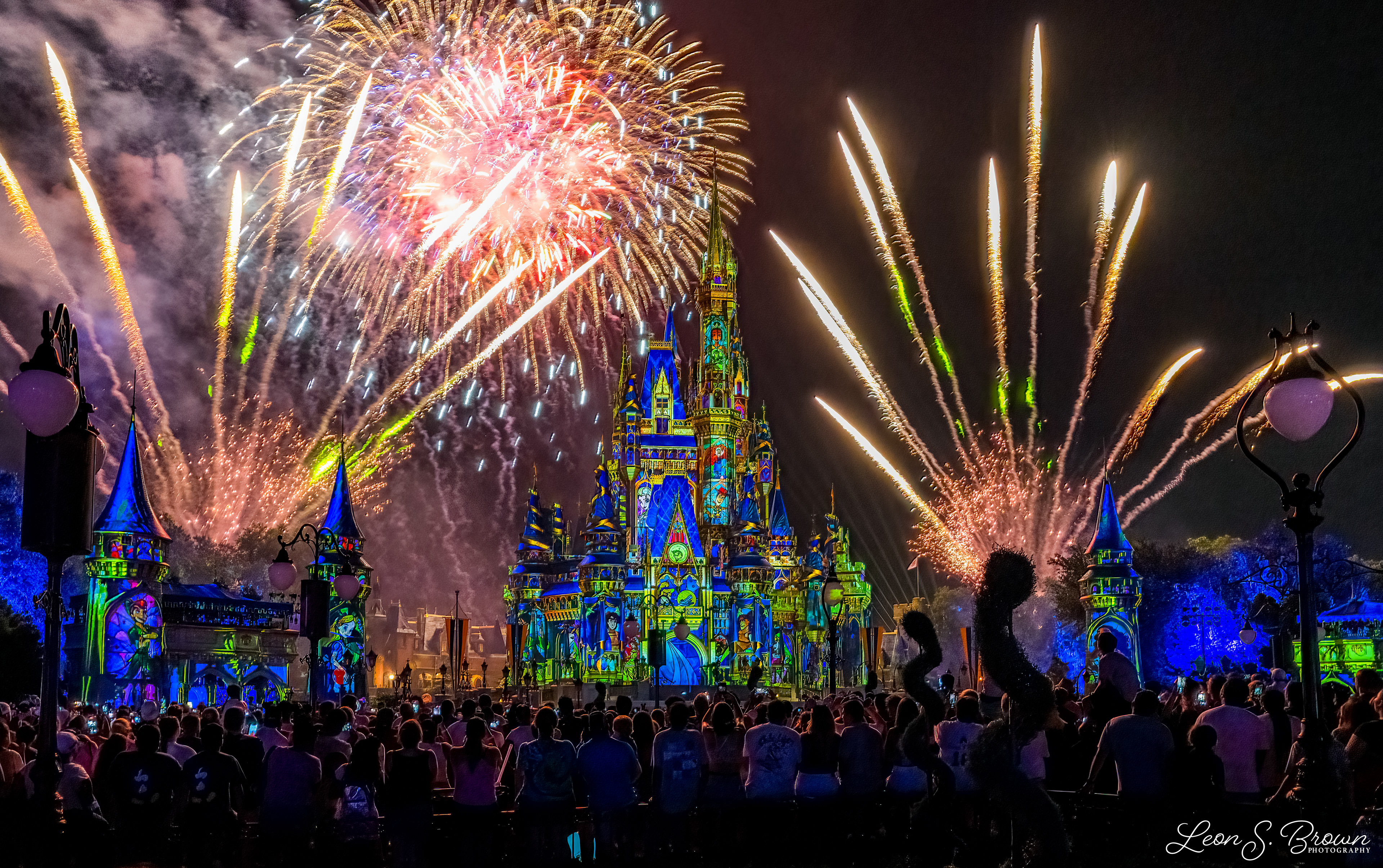 Happily Ever After Fireworks