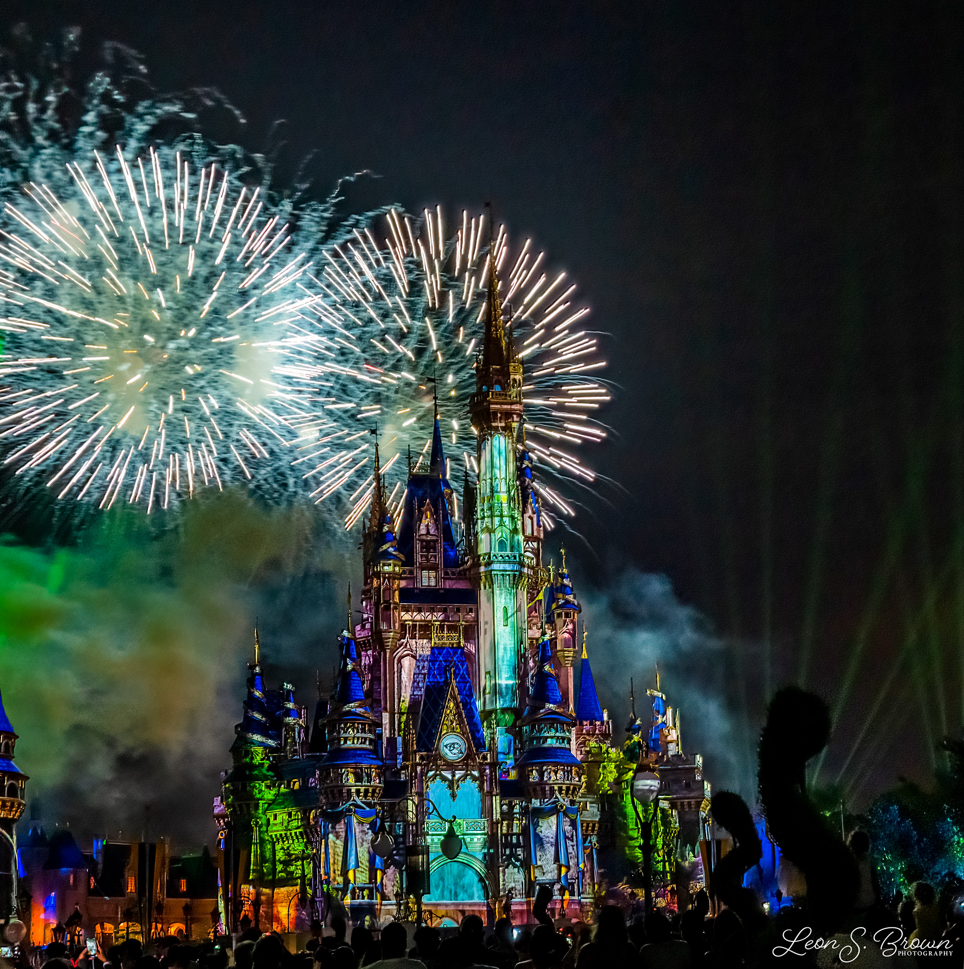 Happily Ever After Fireworks