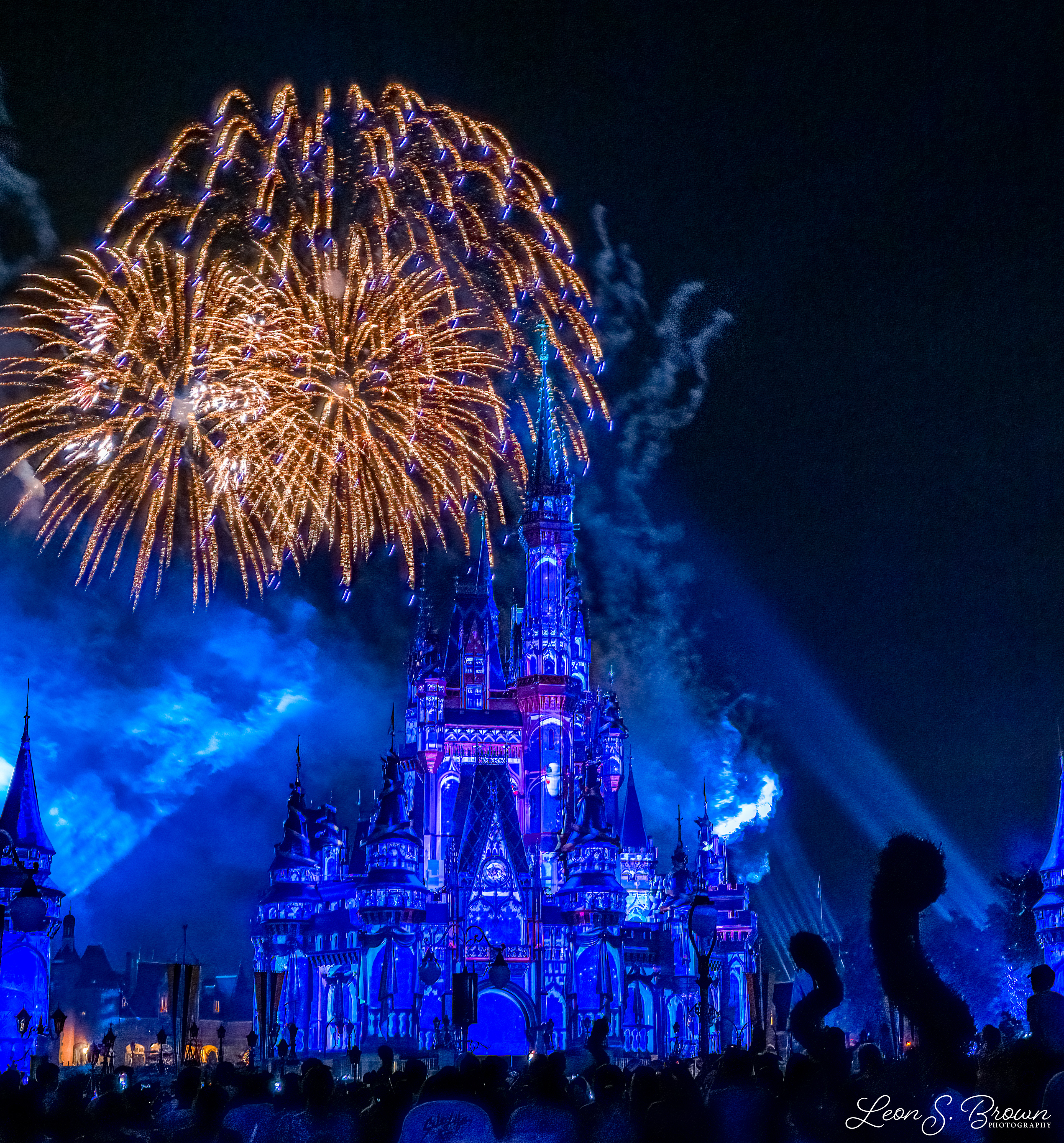Happily Ever After Fireworks