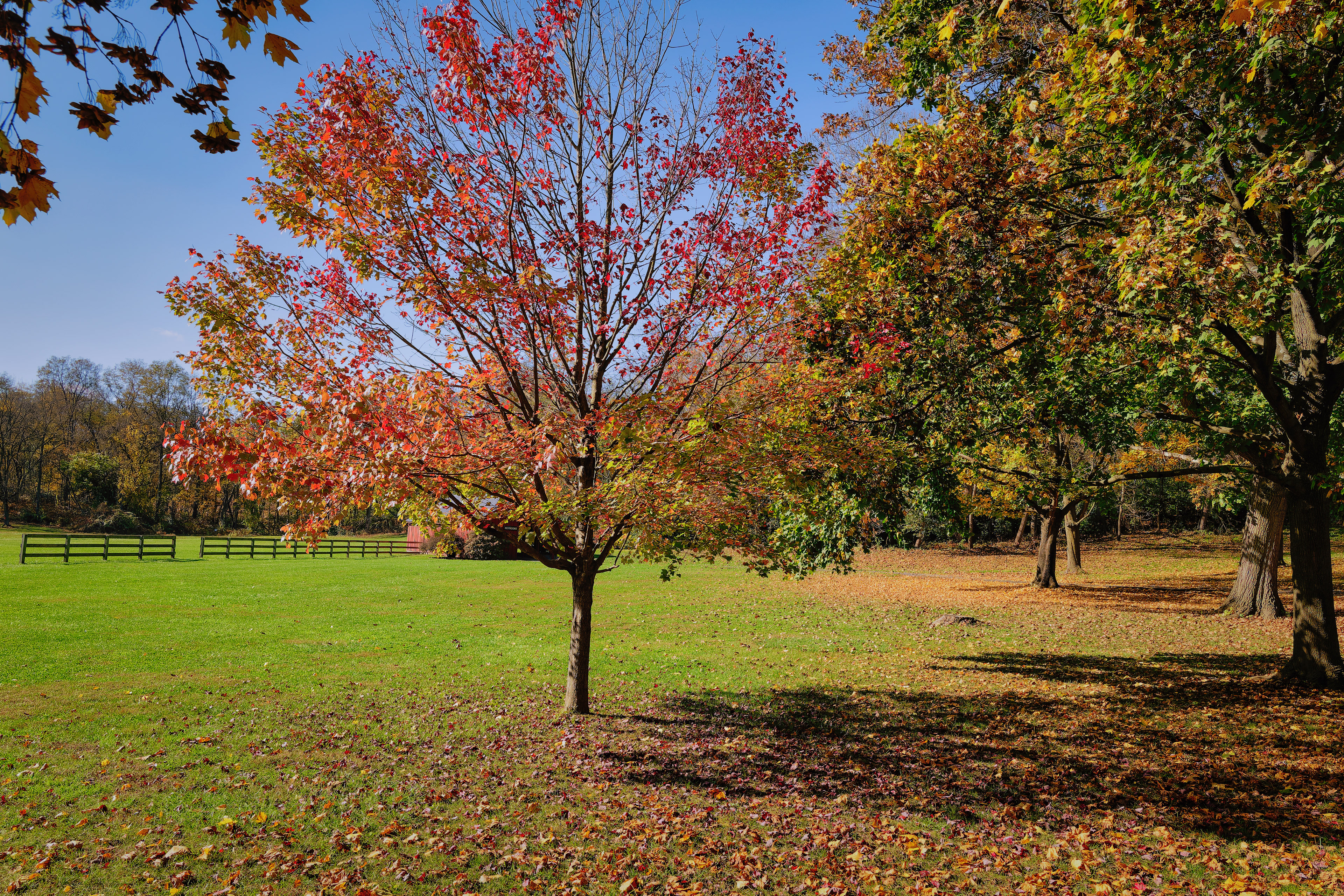 Nissley Vinyards in Bainbridge, Pa