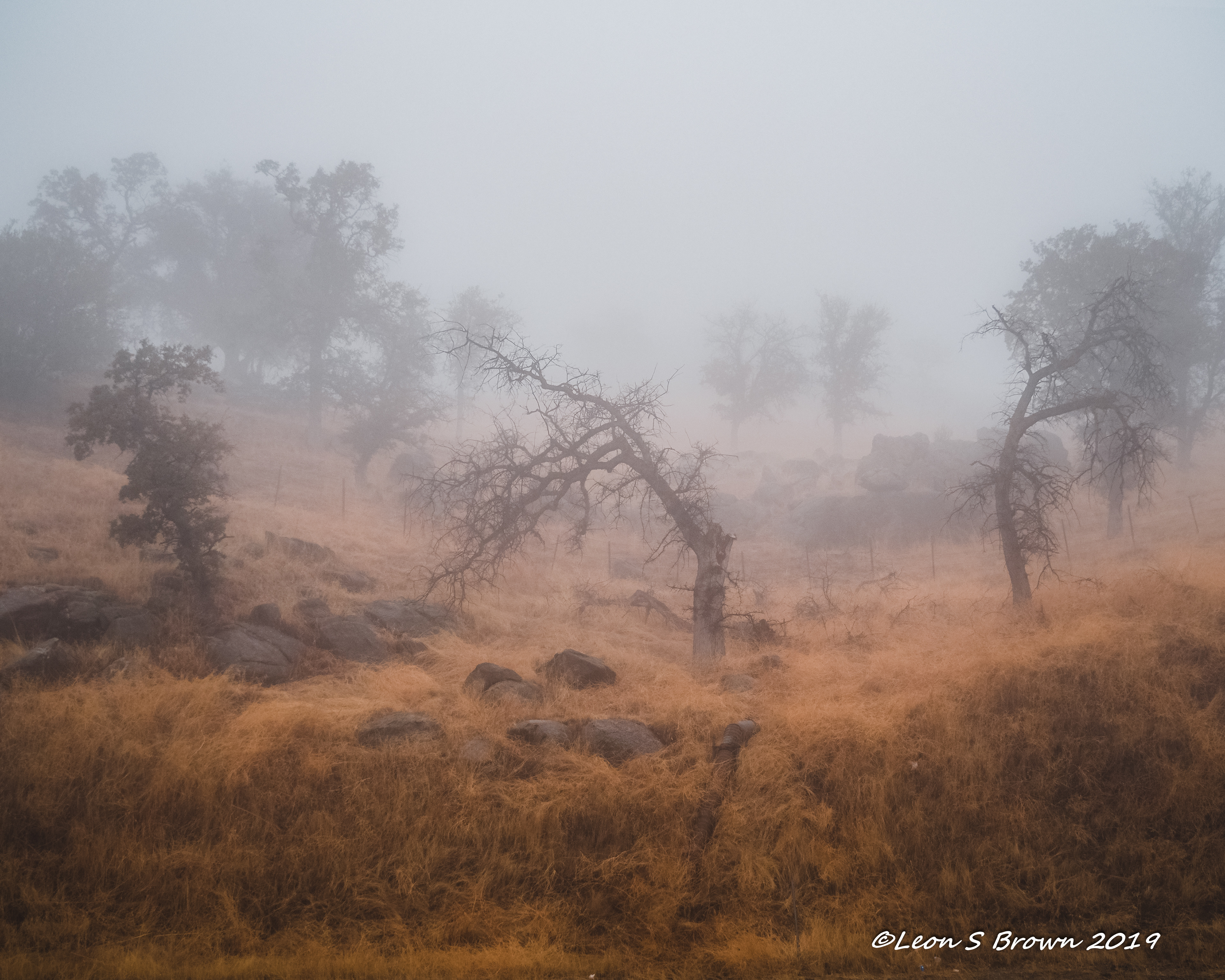 Foggy morning near Keene