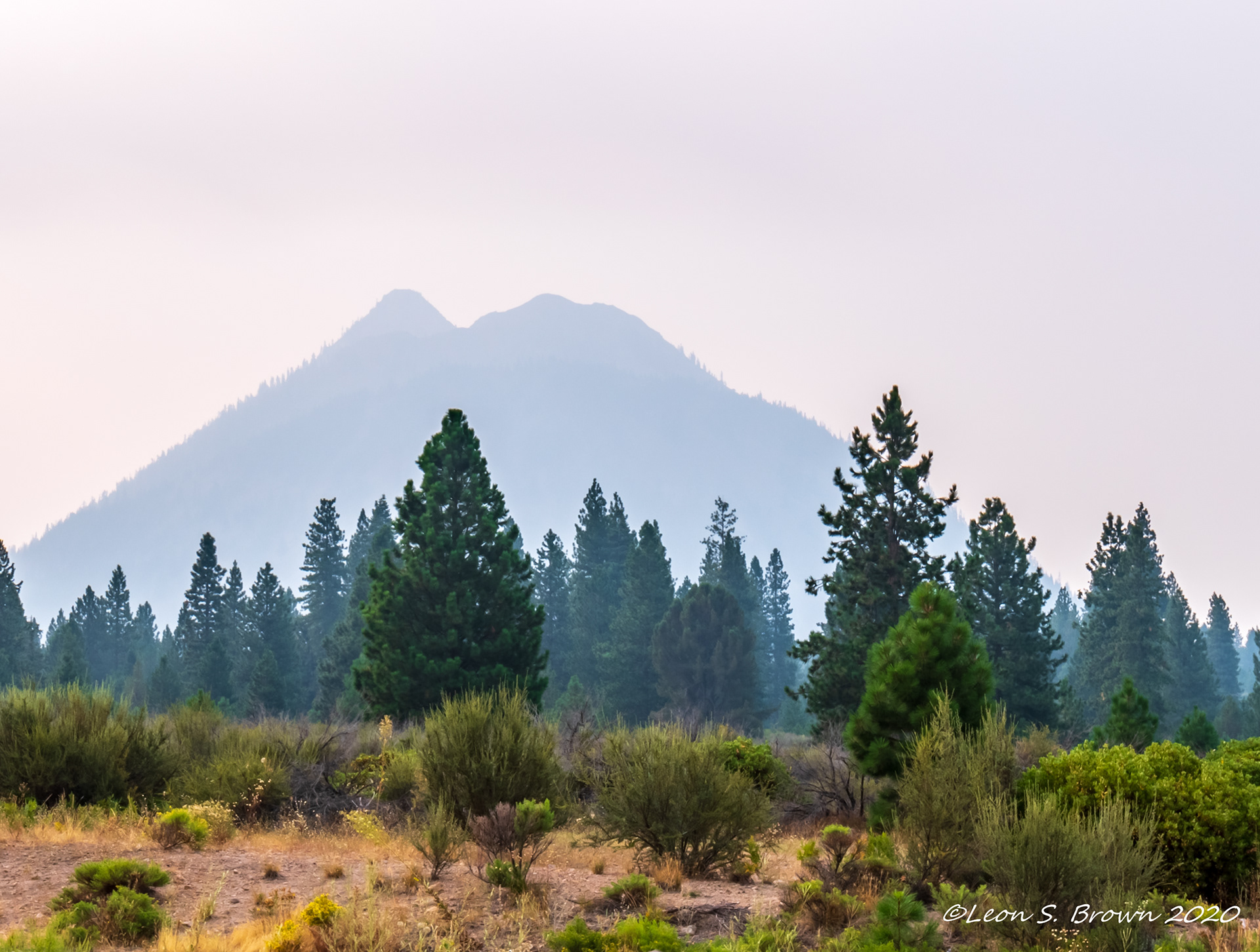 Mt Shasta From Weed California