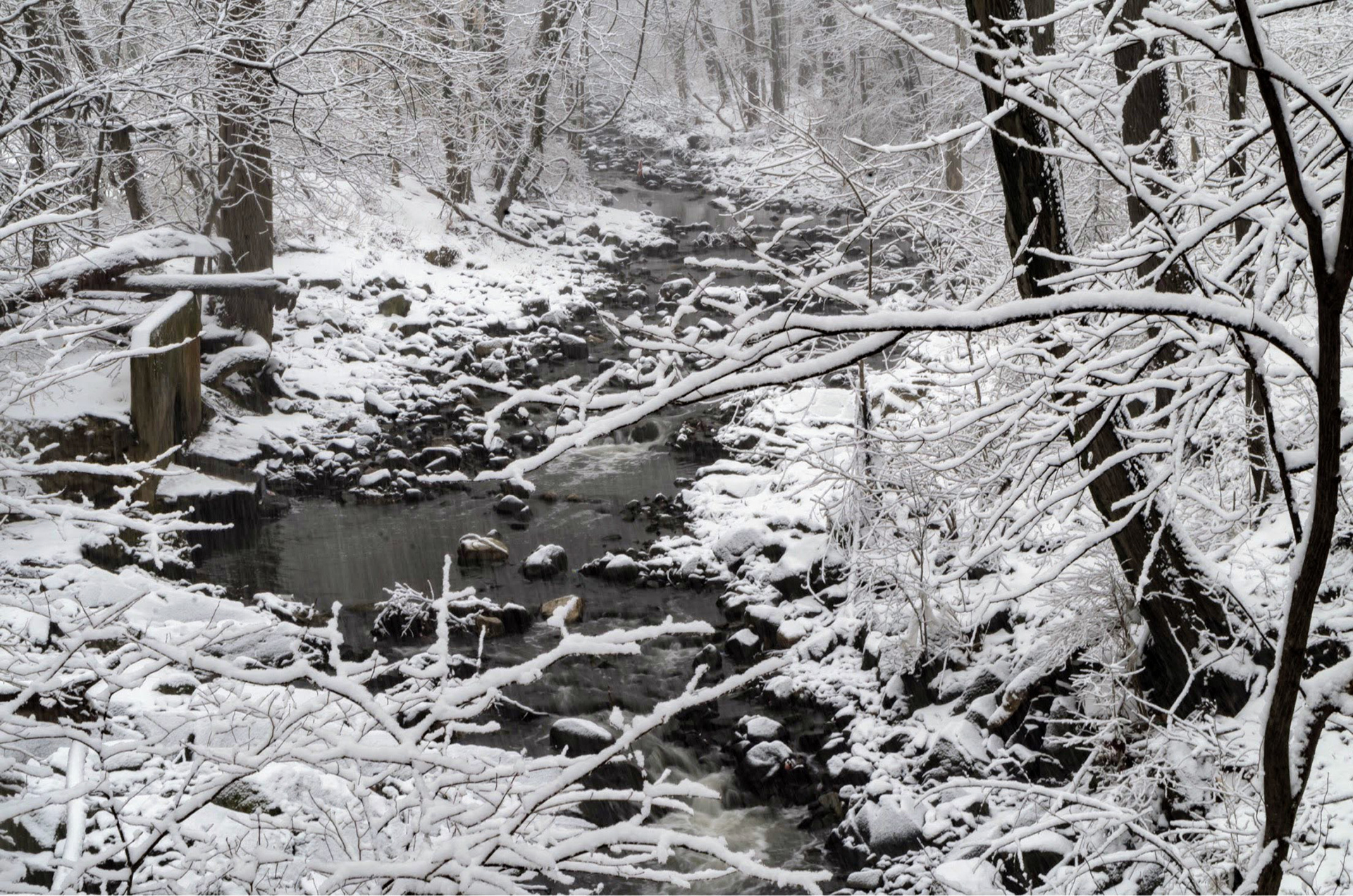 Hanlon Park in Baltimore