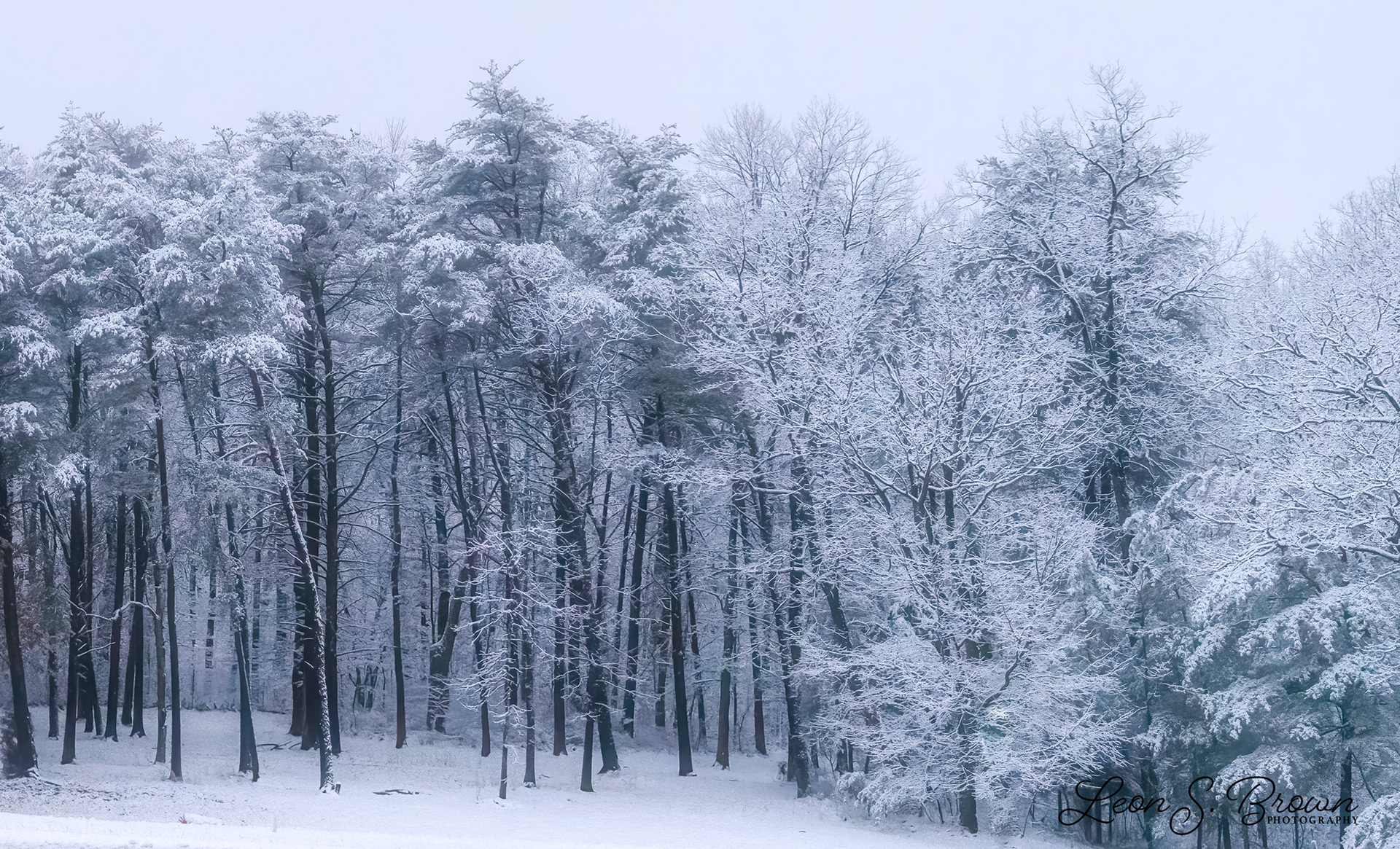 Monteagle, Tennessee 