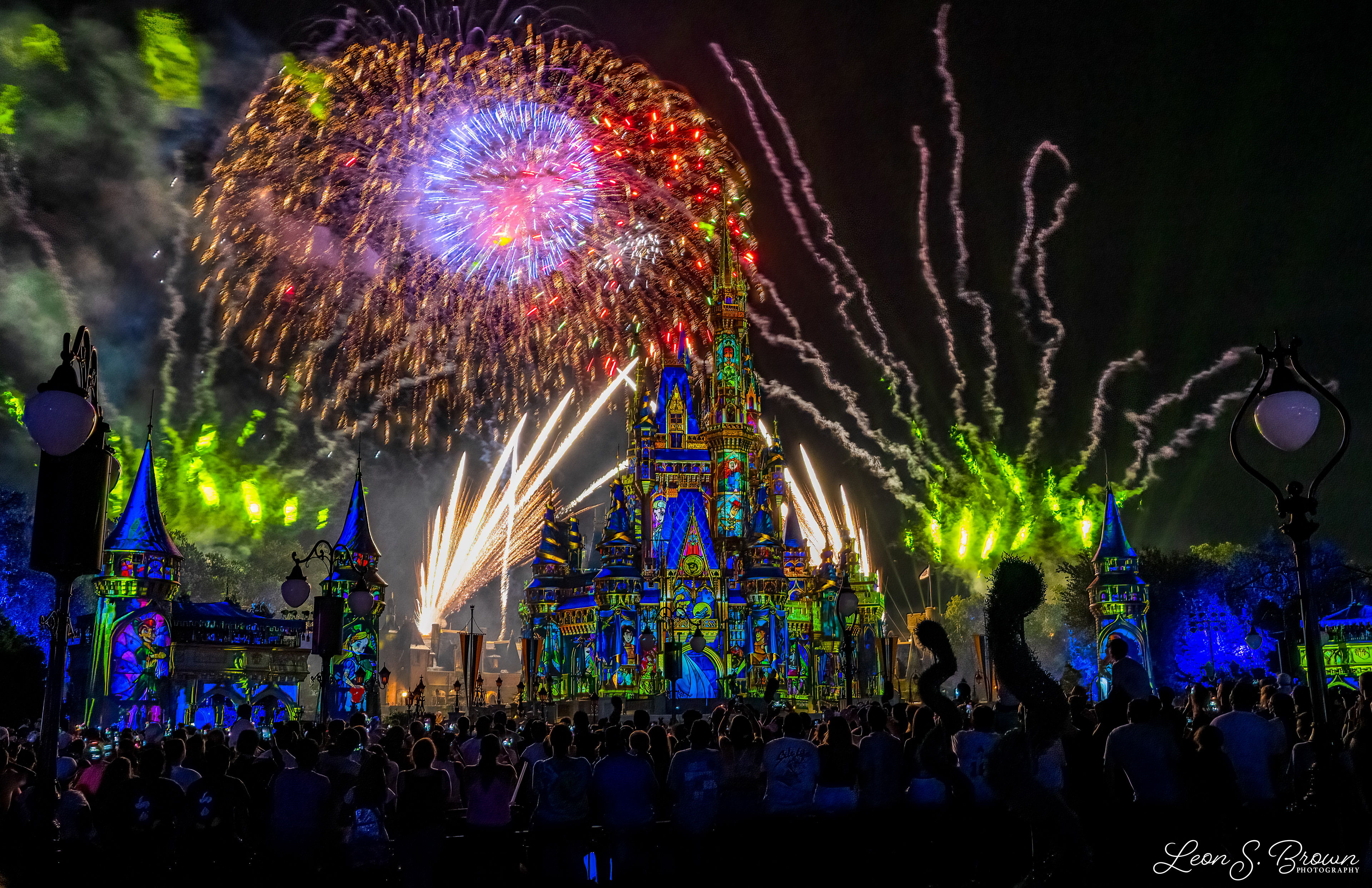 Happily Ever After Fireworks
