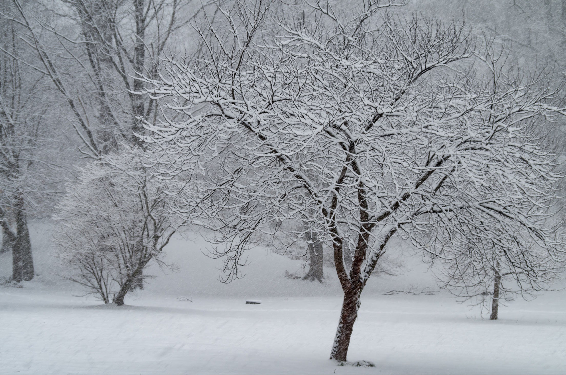 Hanlon Park in Baltimore