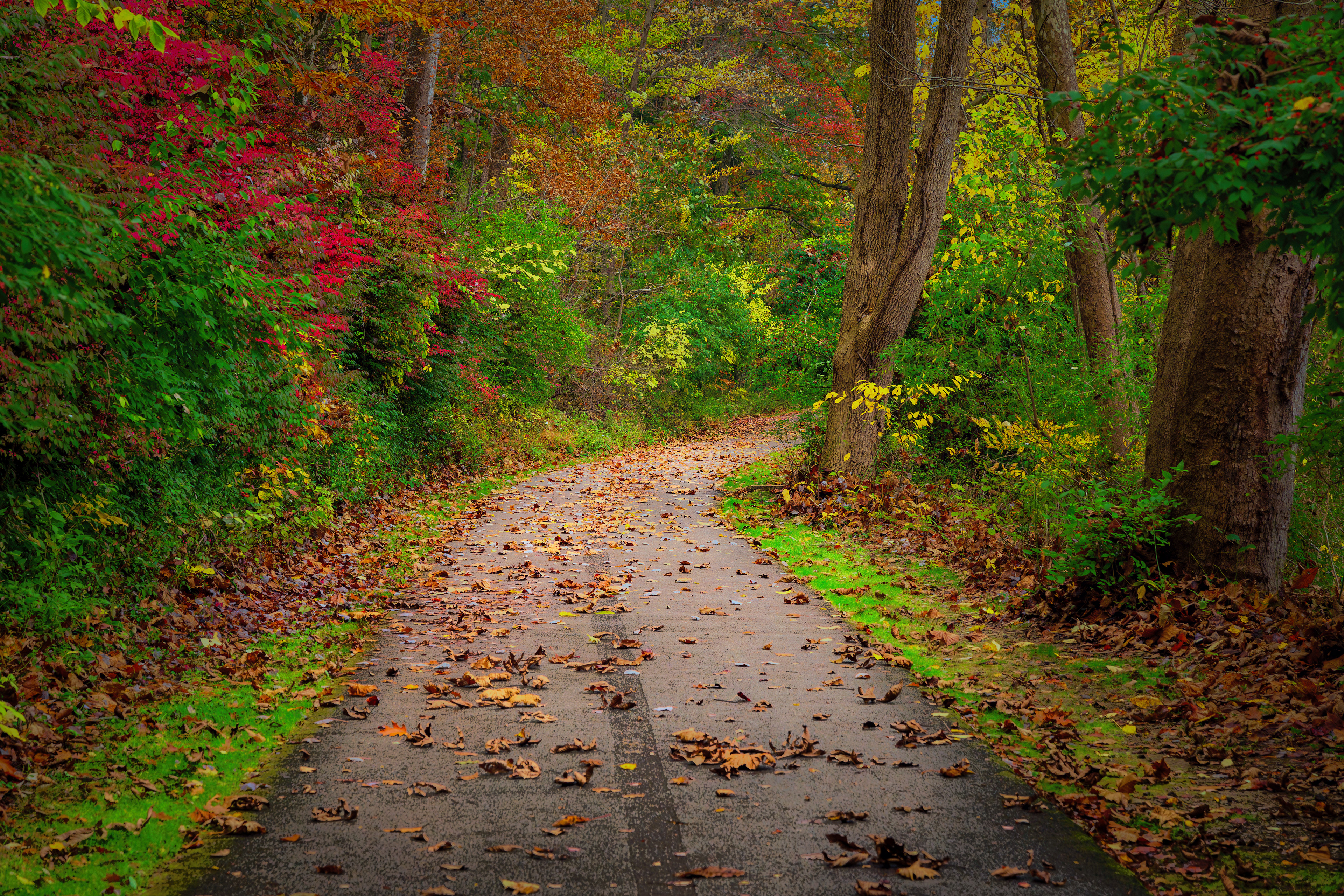 E. Branch Brandywine Trail near Downingtown