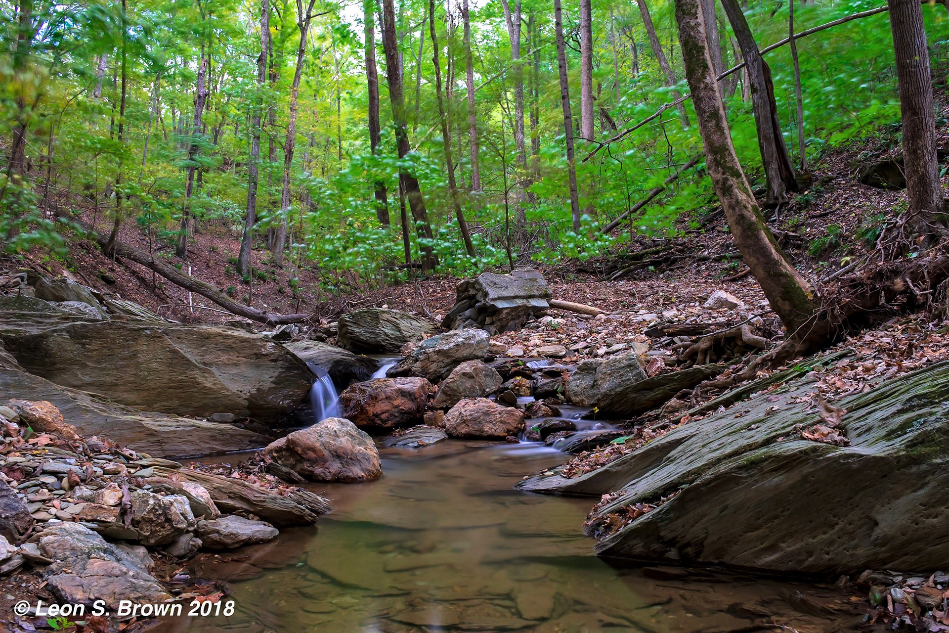 Sawmill Creek in Knoxville, Maryland