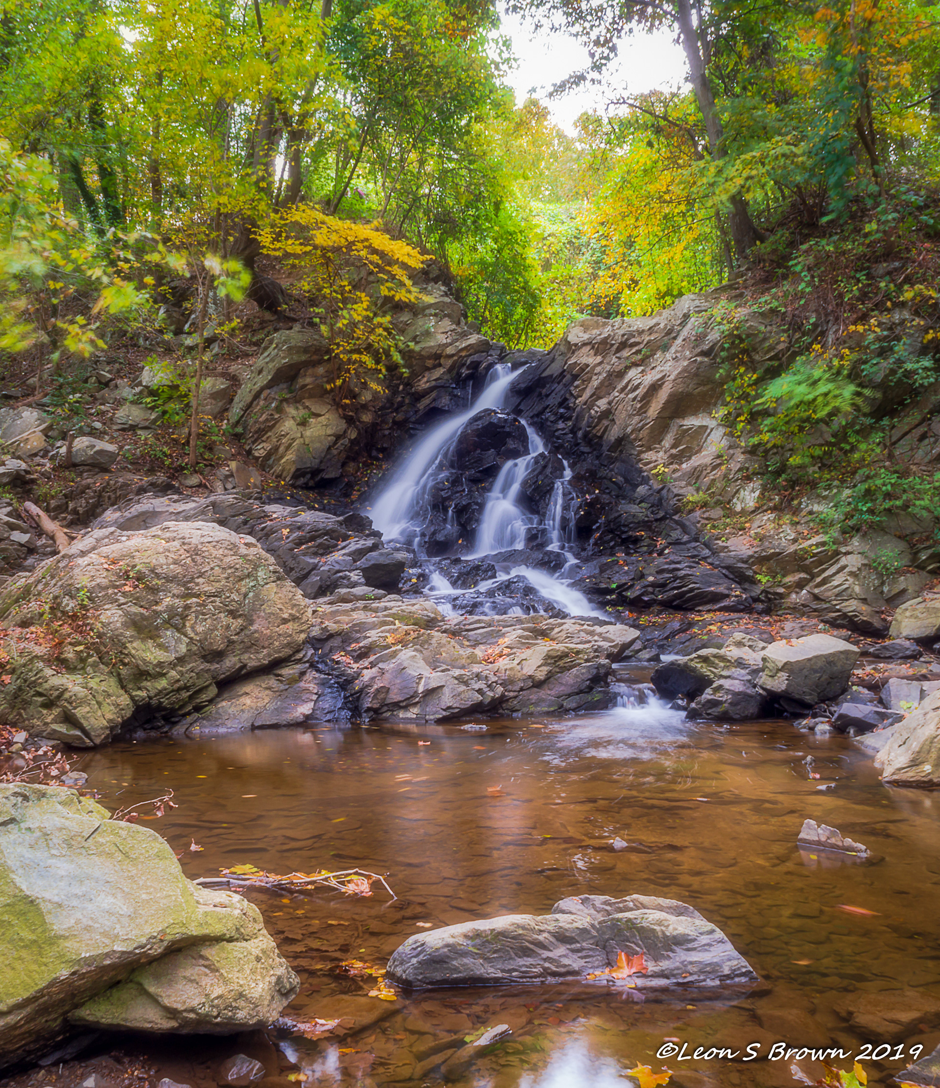 Maryland/Virginia State Border near The Potomac River