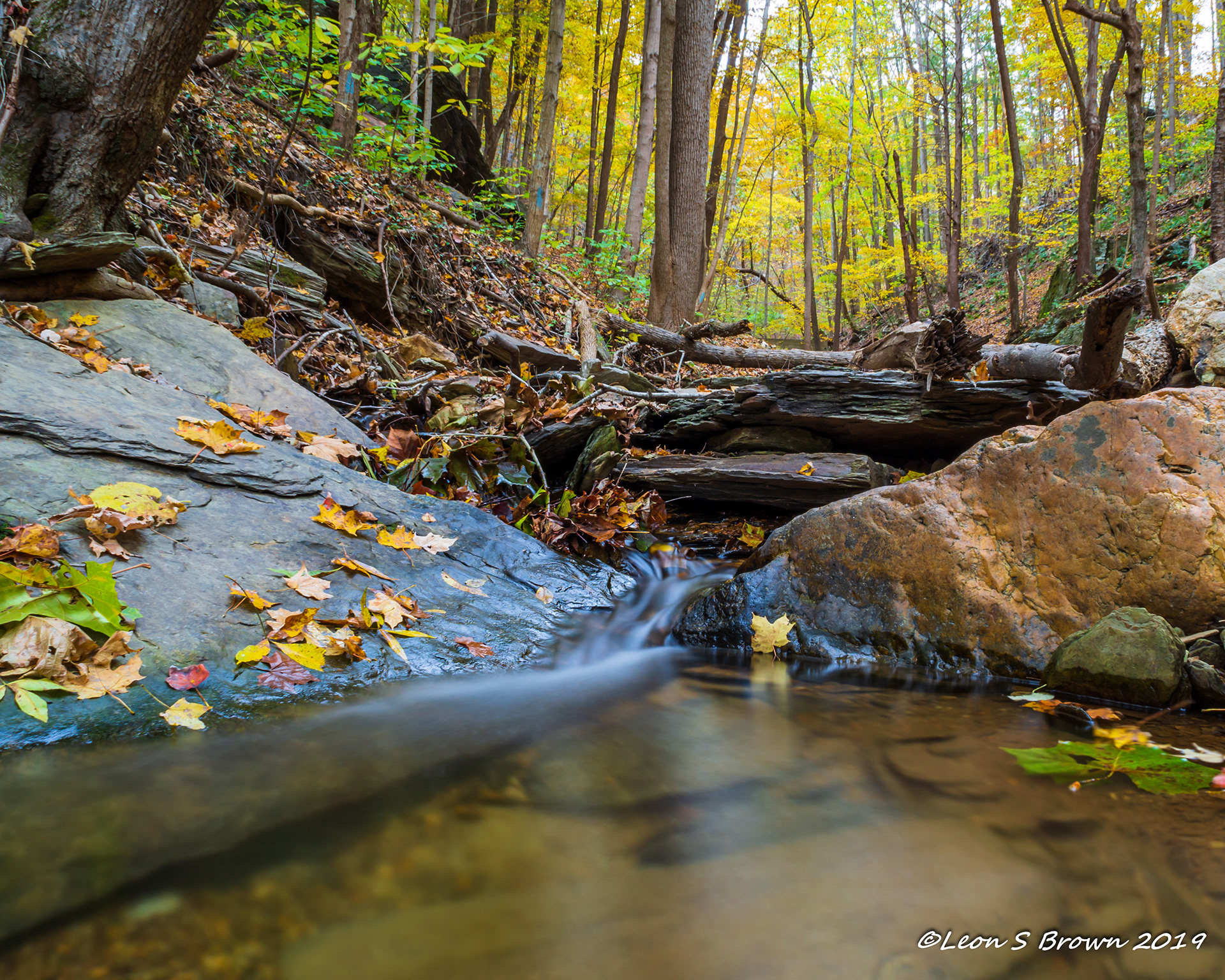 Sawmill Creek in Knoxville, Maryland