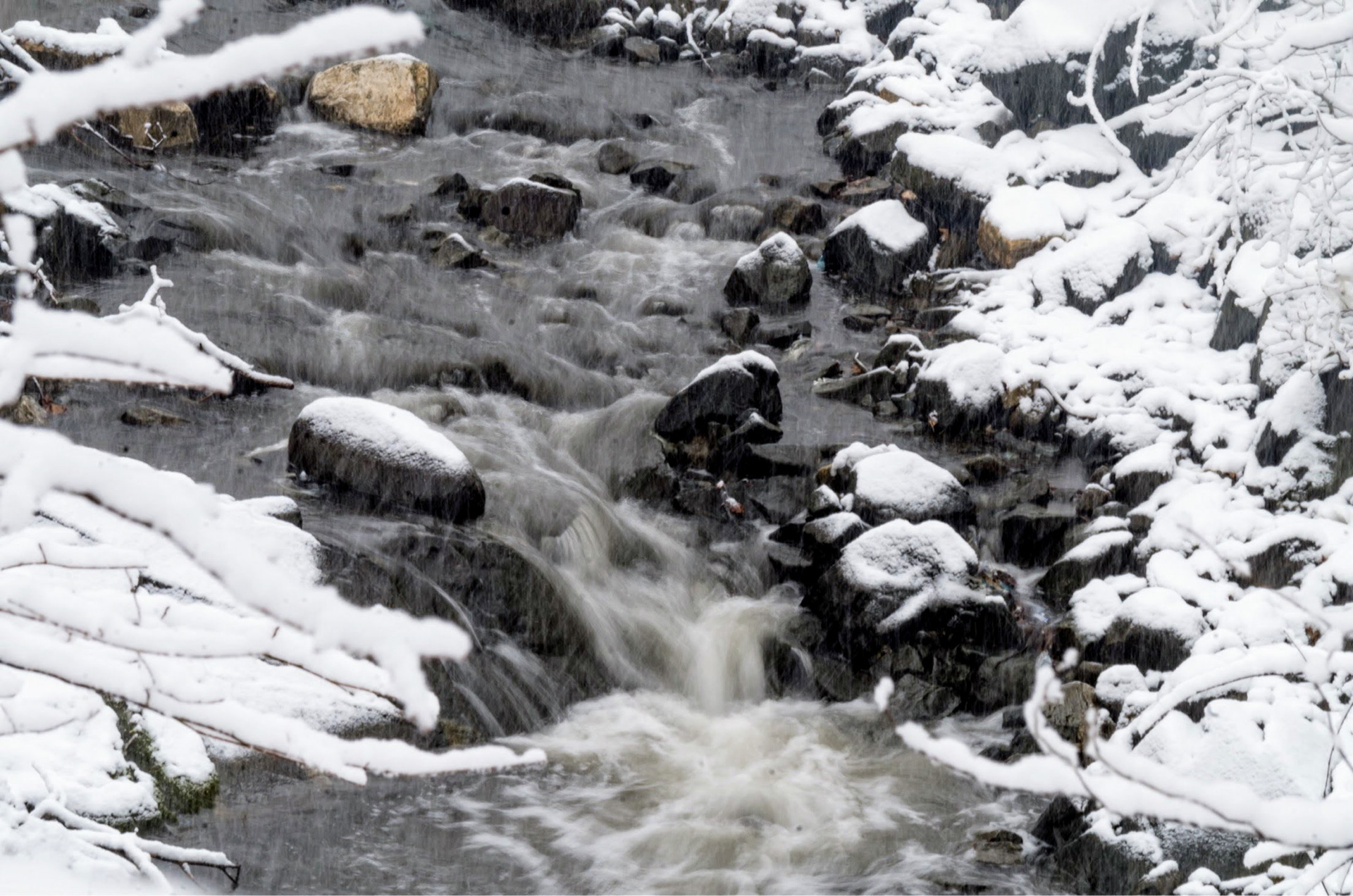 Hanlon Park in Baltimore