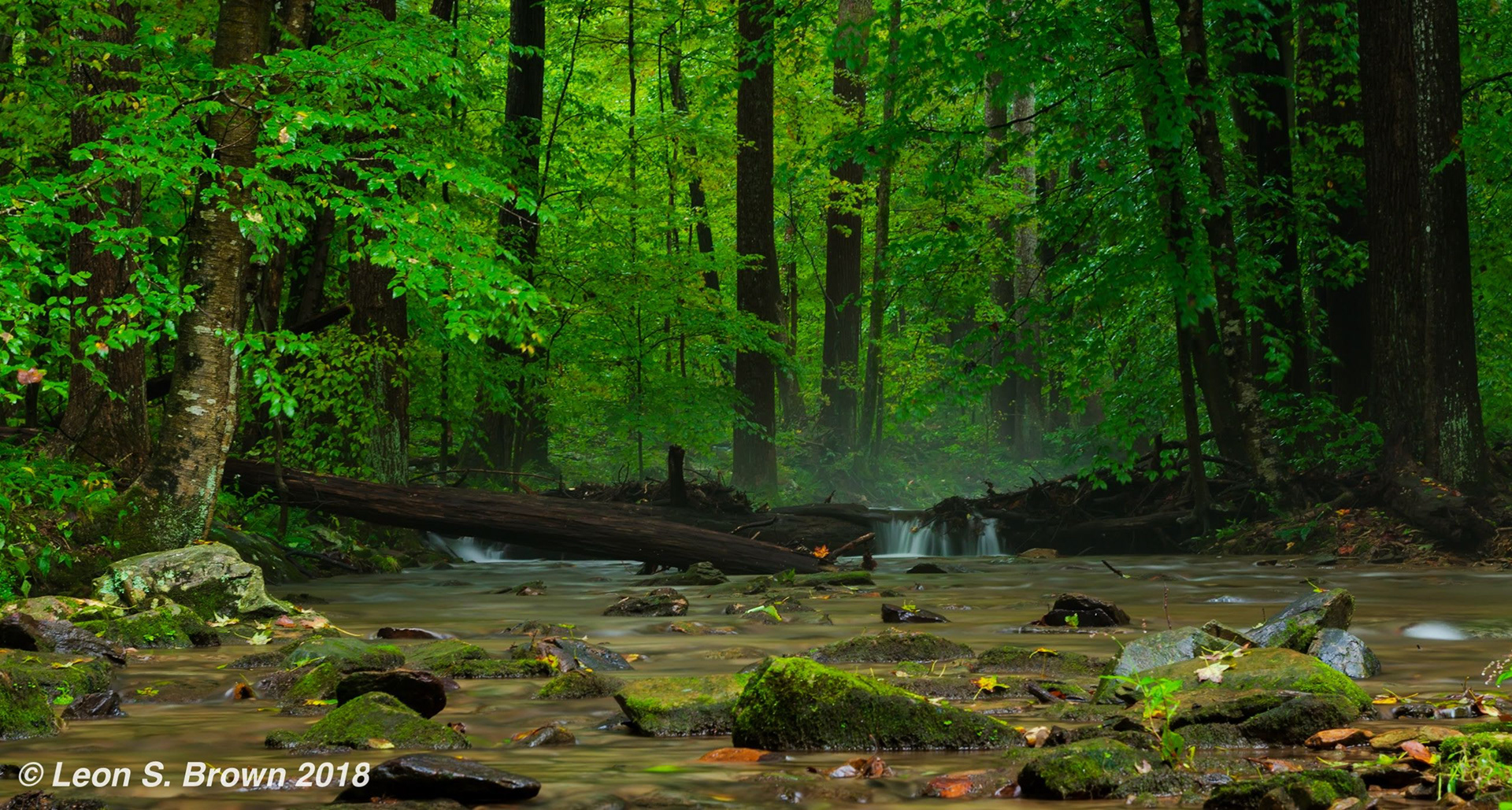 Catoctin Mountain Park in Thurmont, Maryland