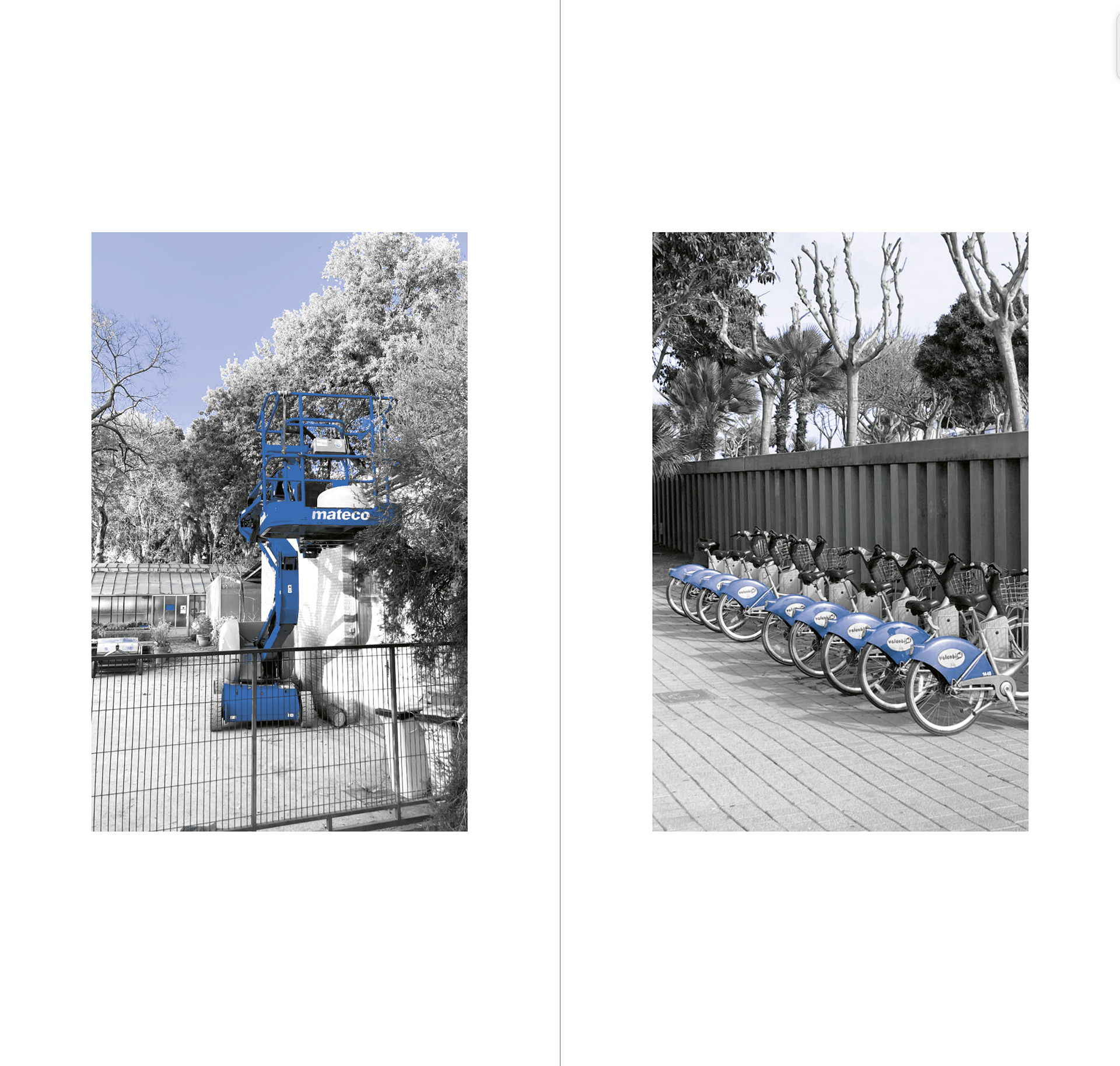I like the boldness of these two images -Juxtaposition of nature and human made