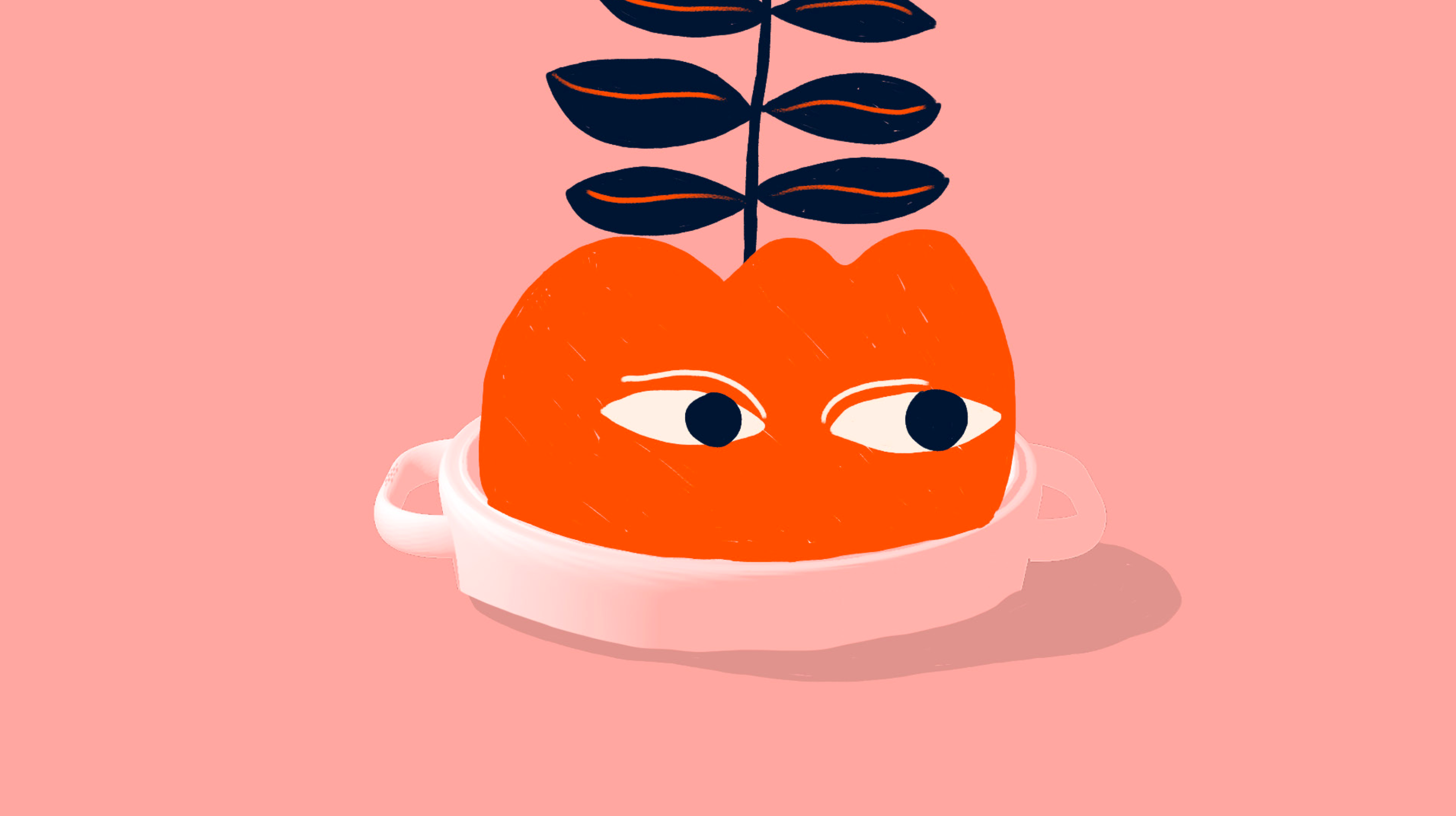 Flynn McGarry Illustrations
