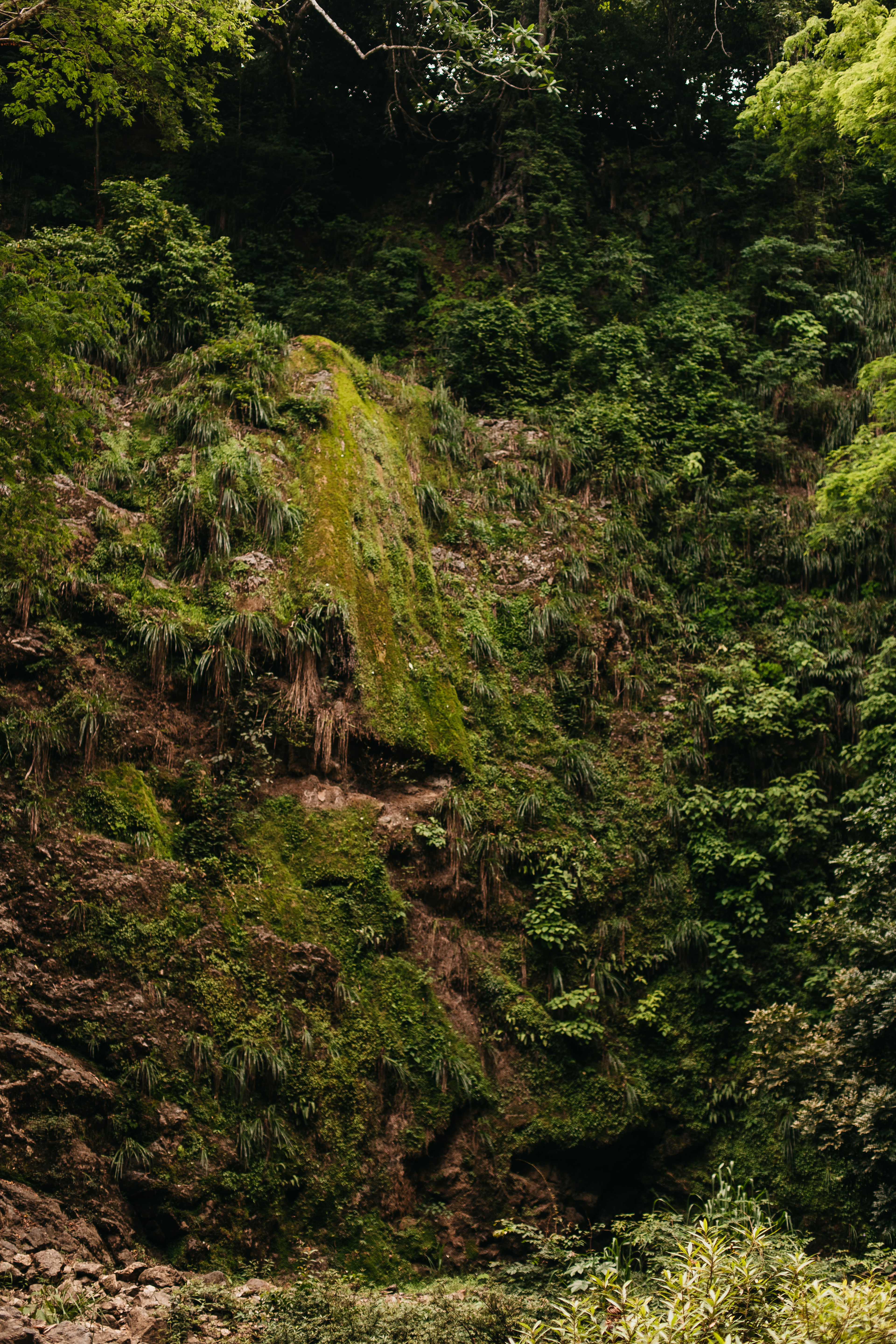 Montezuma